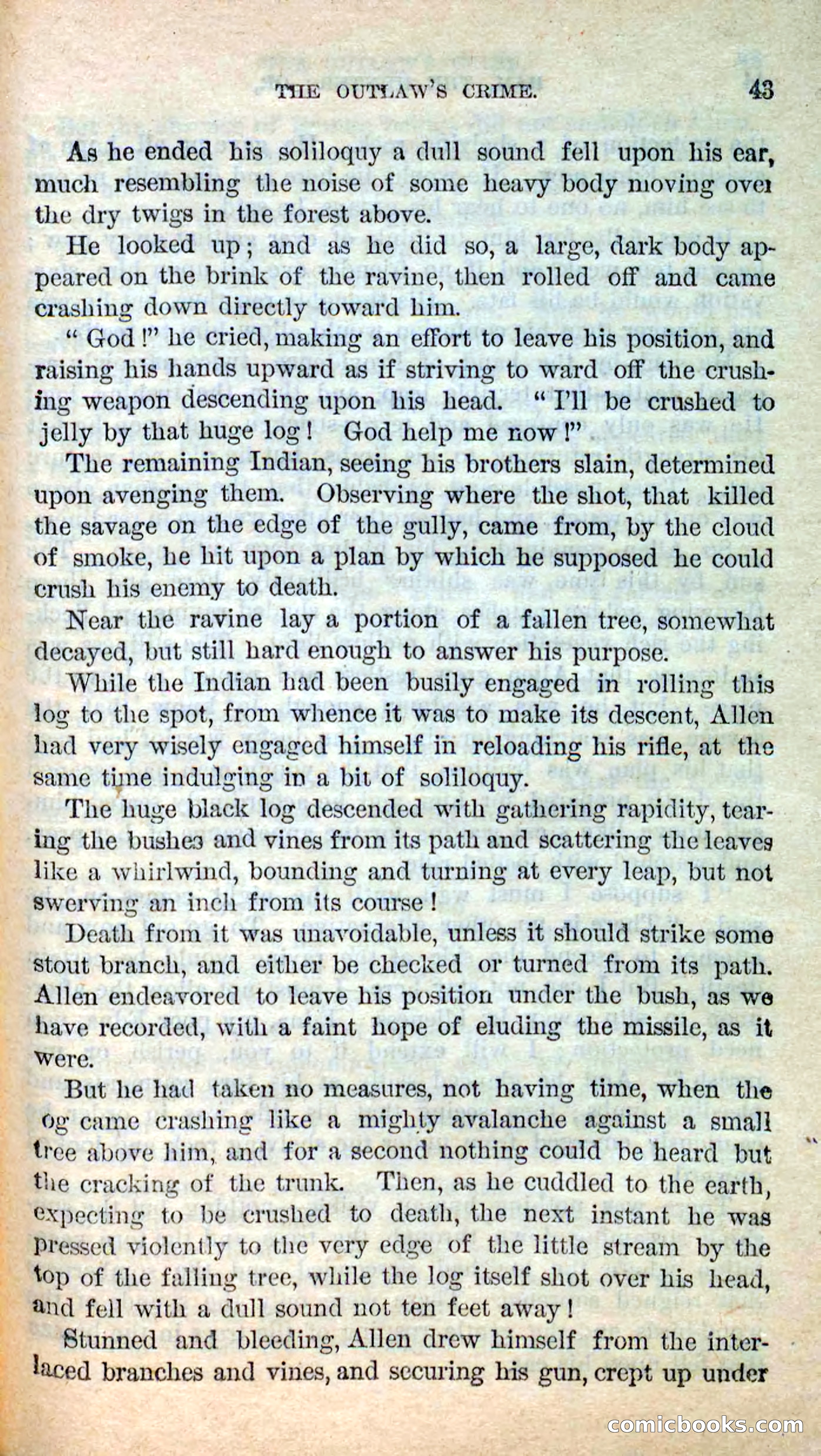 Beadle's New Dime Novels: Hunter Ham — page 39 of 101