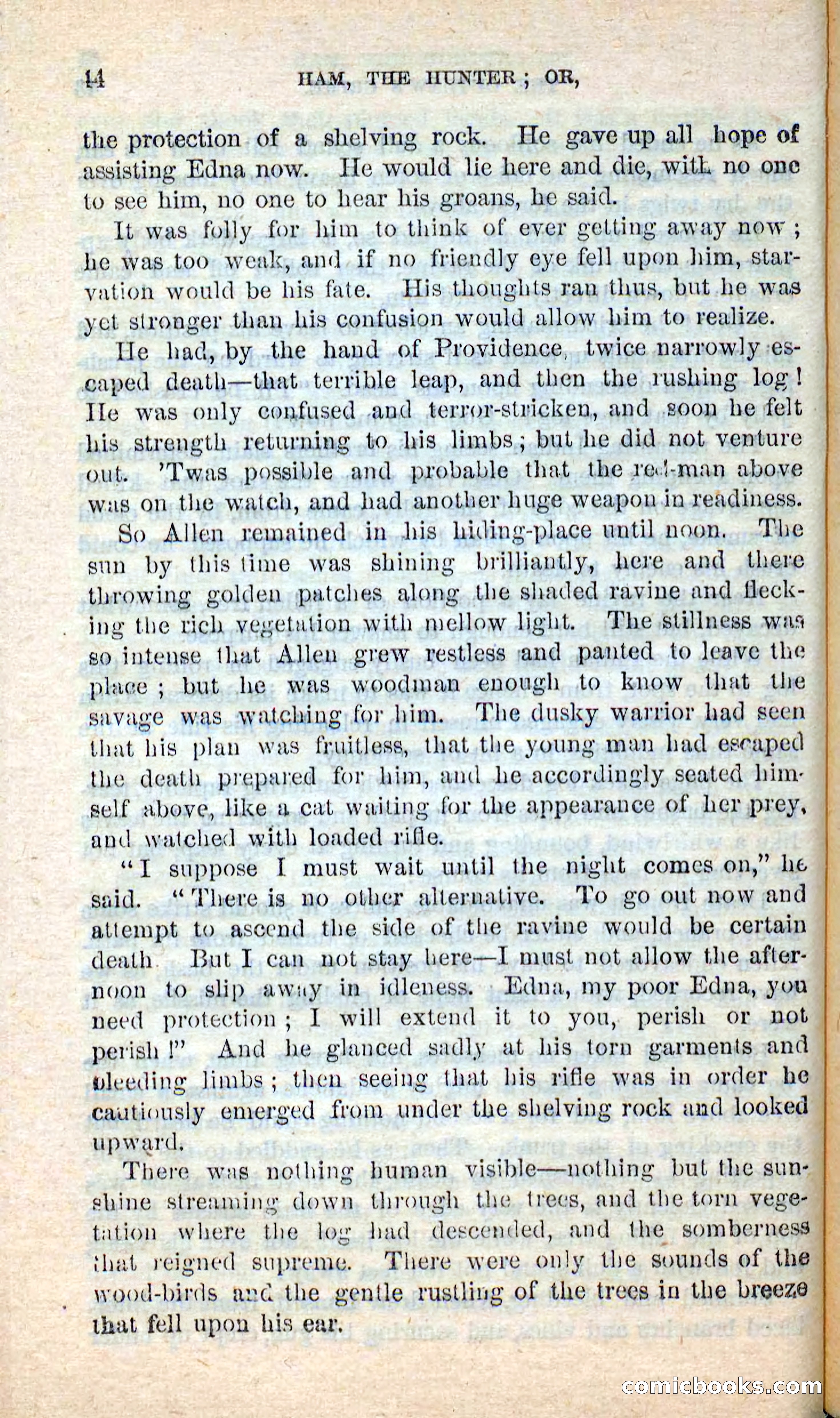 Beadle's New Dime Novels: Hunter Ham — page 40 of 101