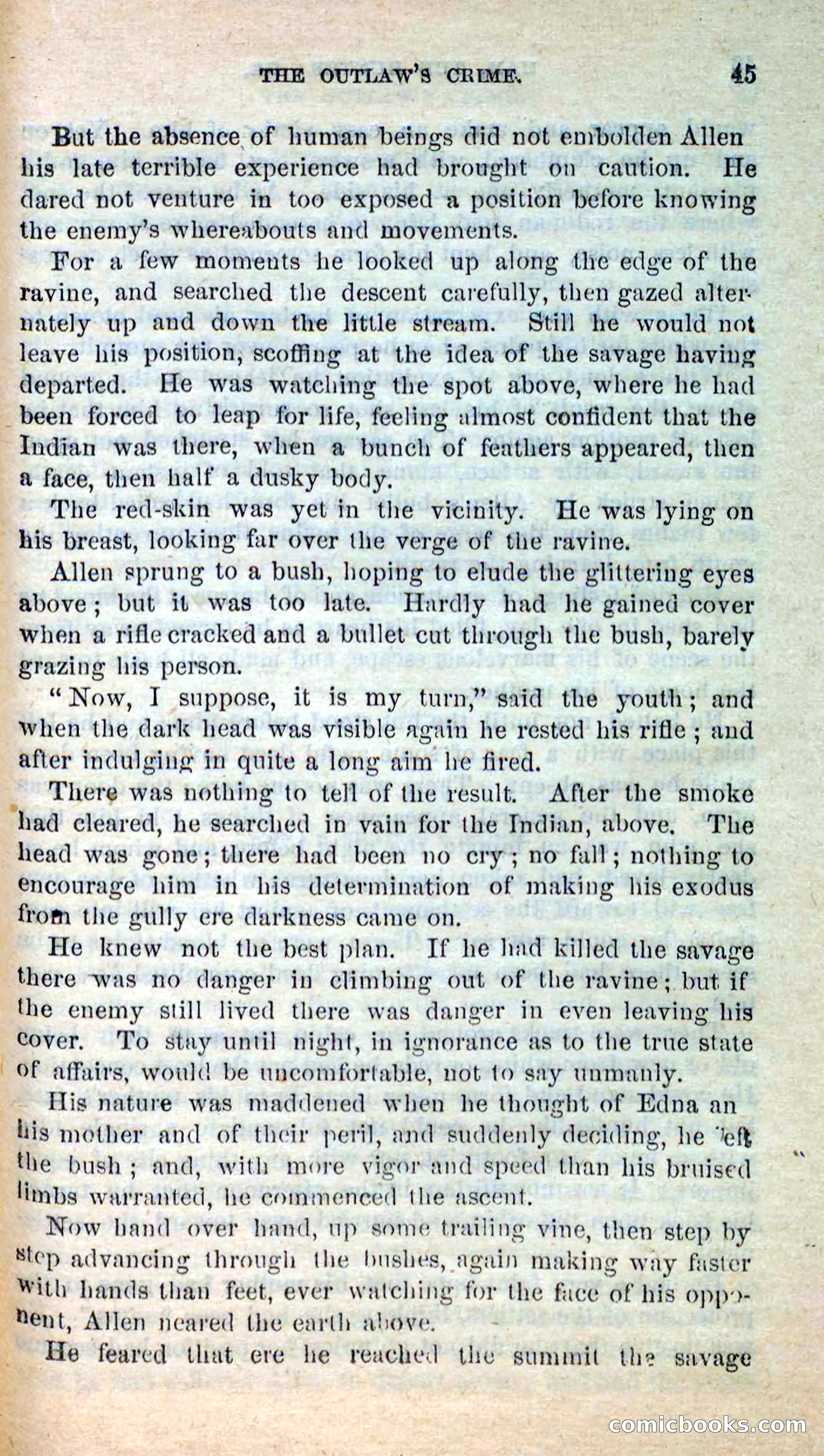 Beadle's New Dime Novels: Hunter Ham — page 41 of 101