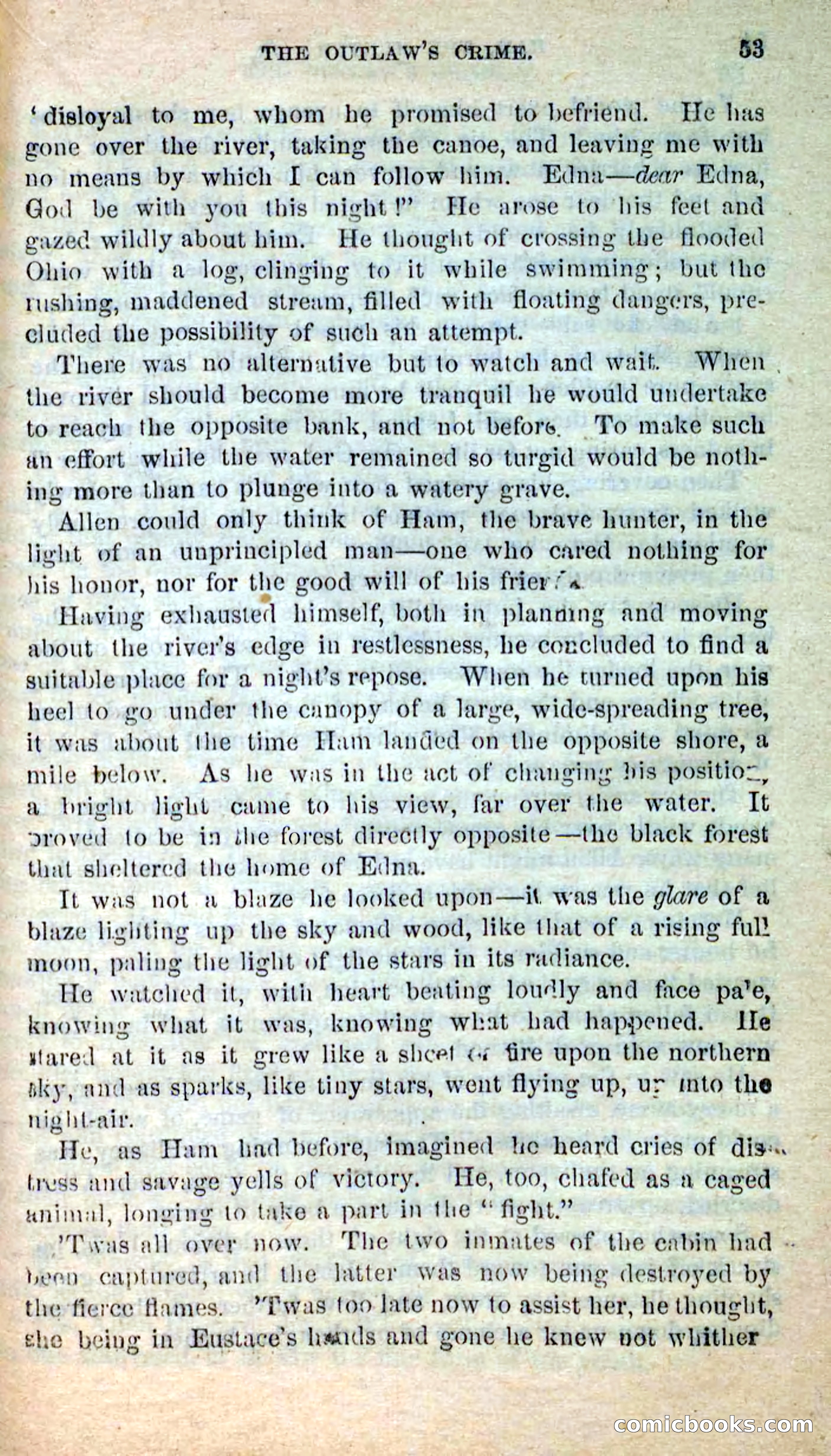 Beadle's New Dime Novels: Hunter Ham — page 49 of 101