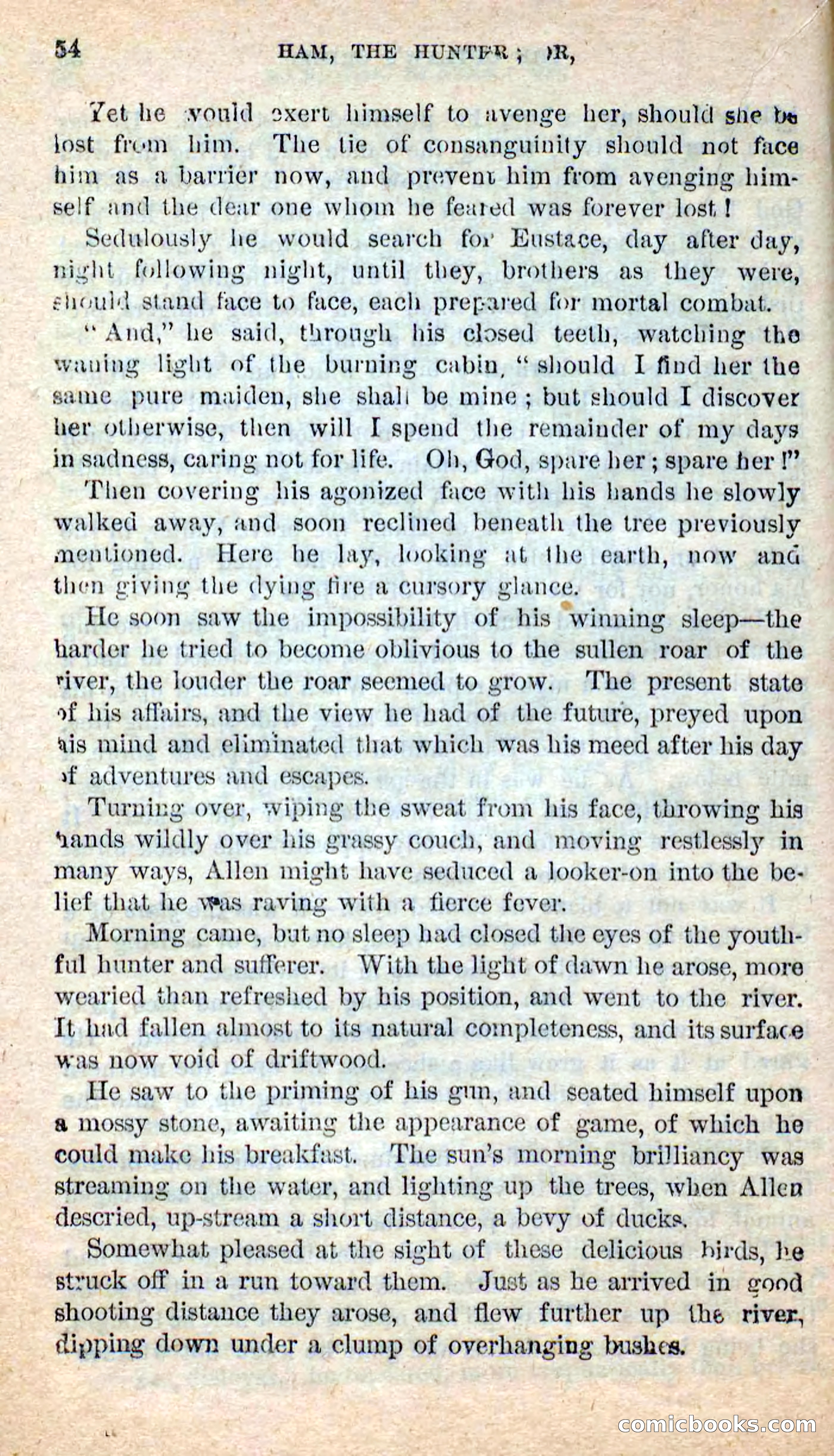 Beadle's New Dime Novels: Hunter Ham — page 50 of 101