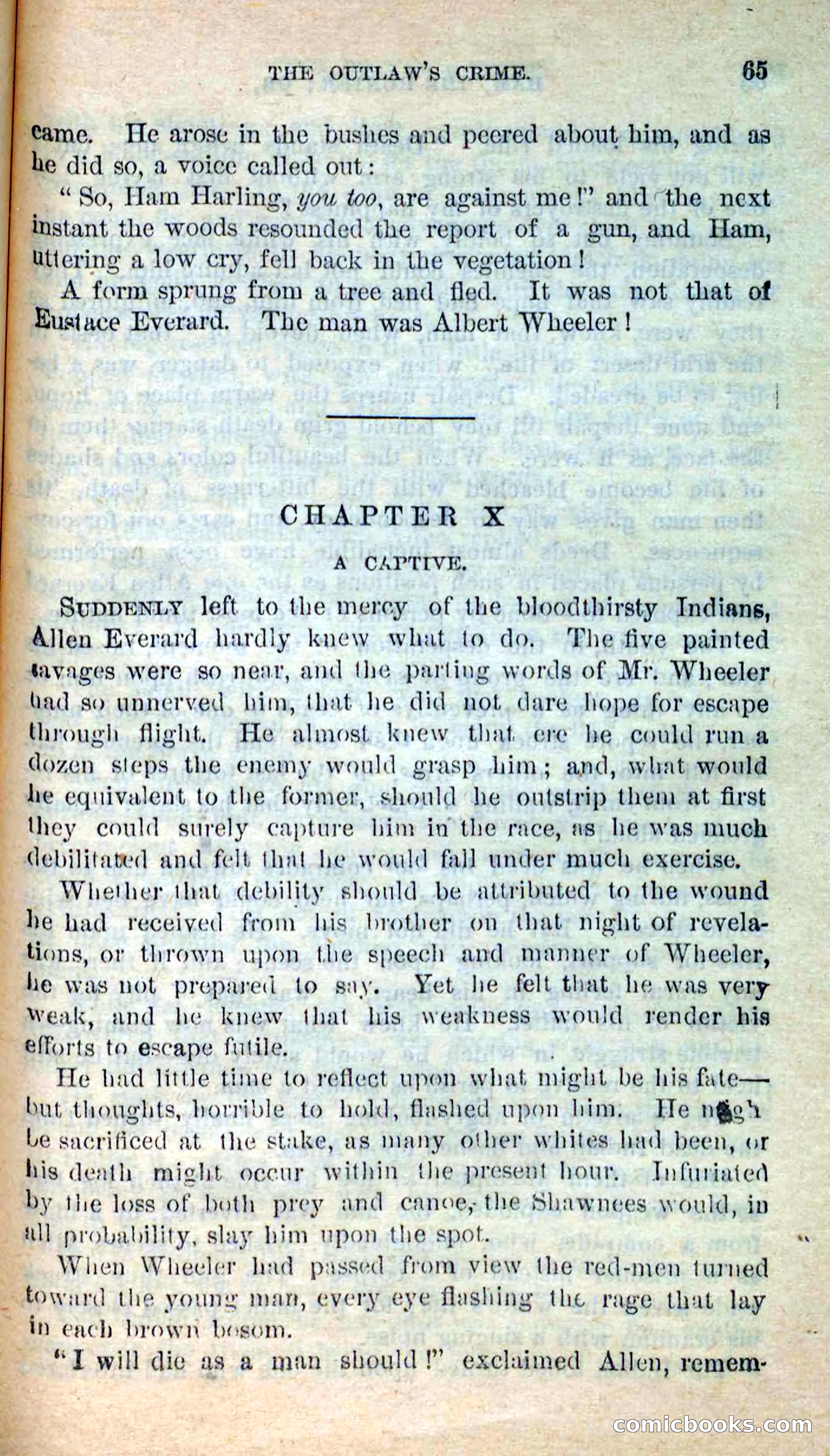 Beadle's New Dime Novels: Hunter Ham — page 61 of 101