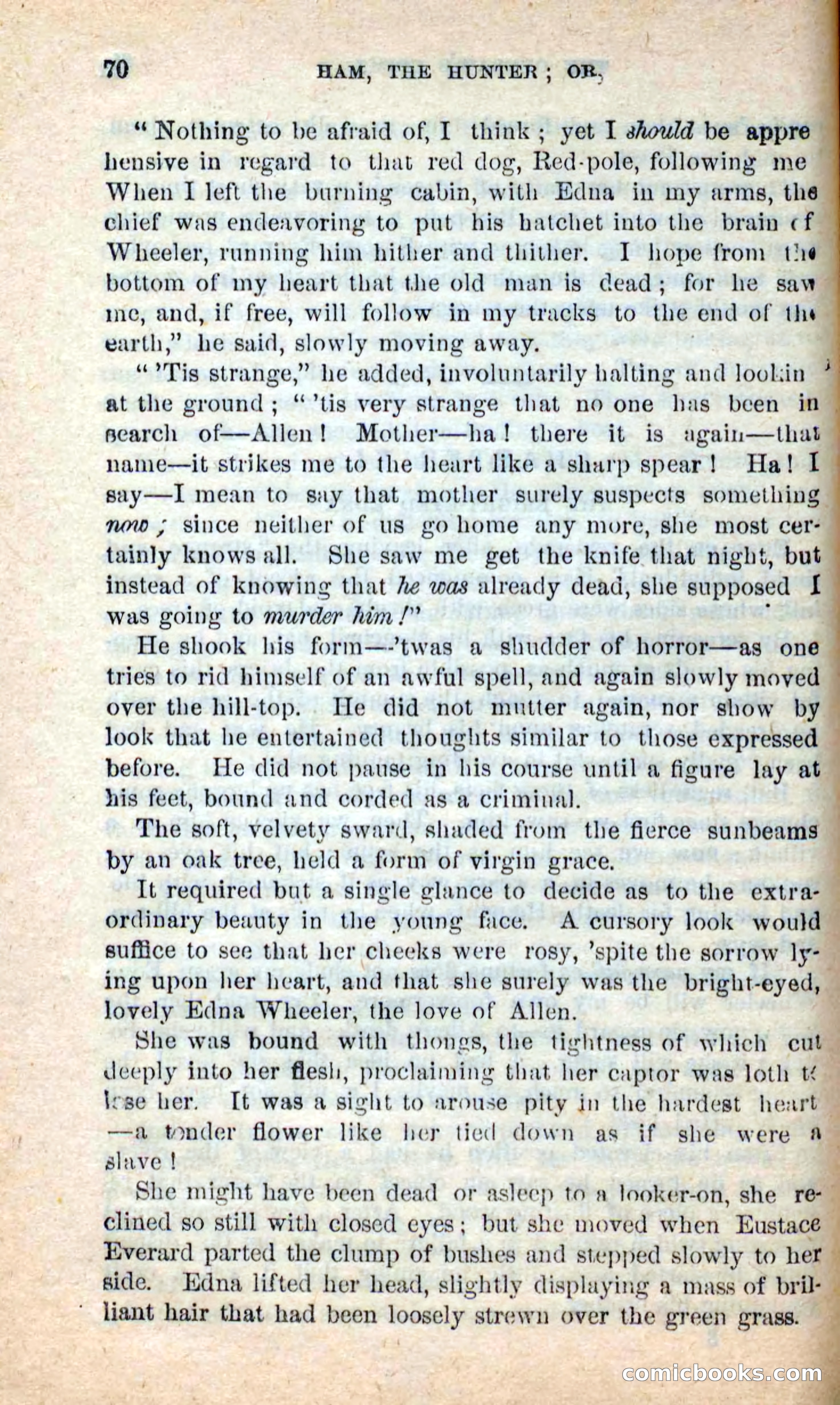 Beadle's New Dime Novels: Hunter Ham — page 66 of 101