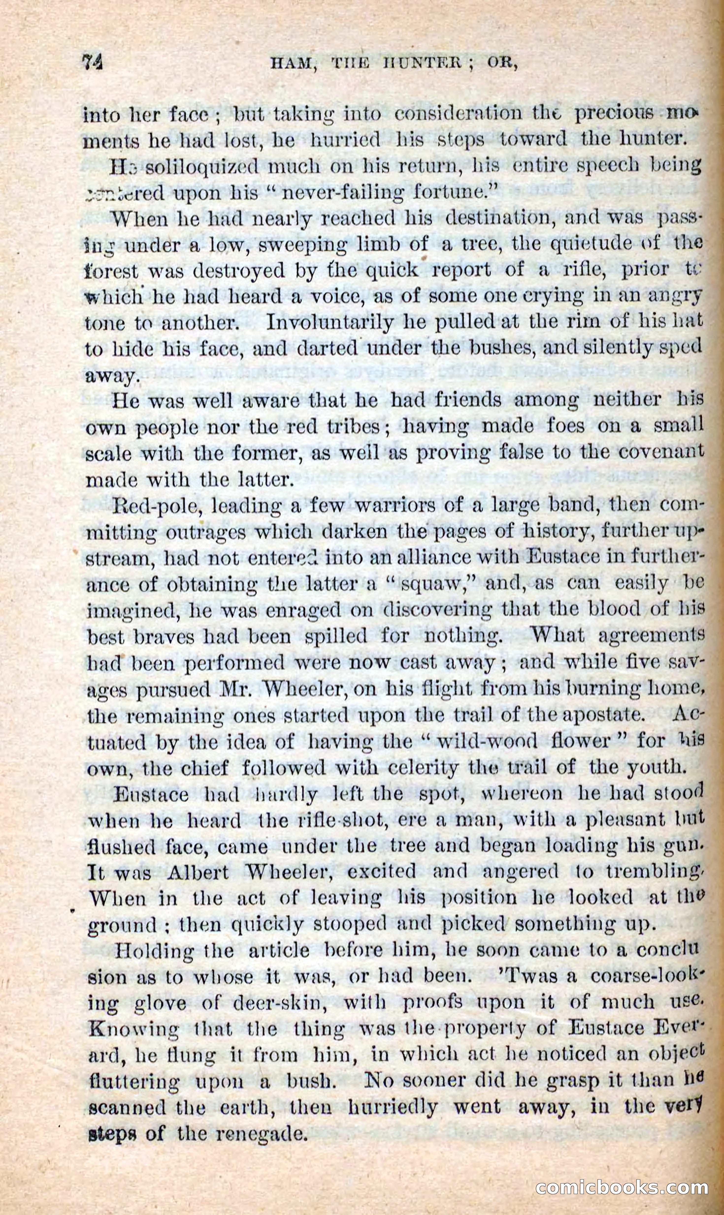 Beadle's New Dime Novels: Hunter Ham — page 71 of 101
