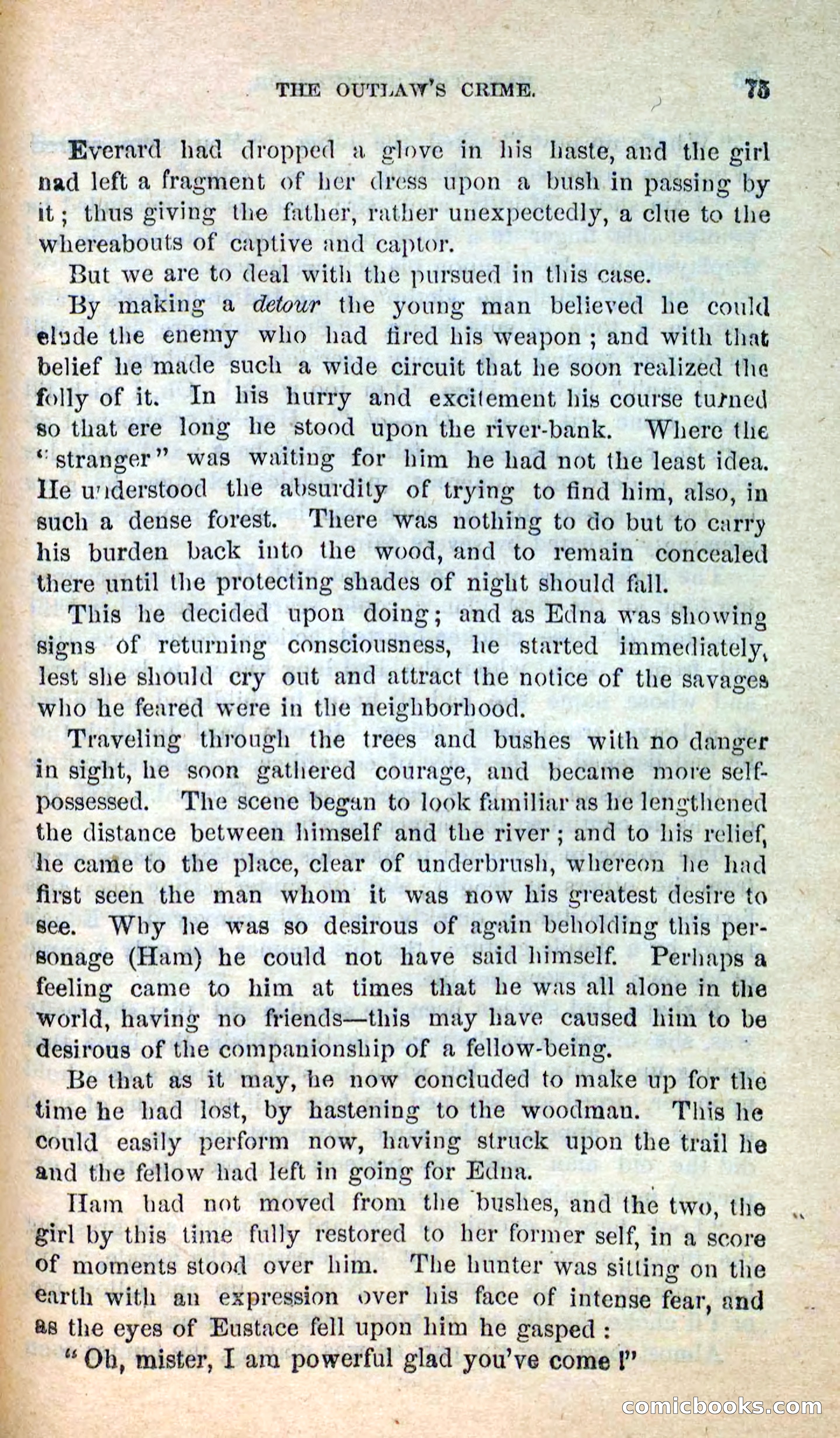 Beadle's New Dime Novels: Hunter Ham — page 72 of 101