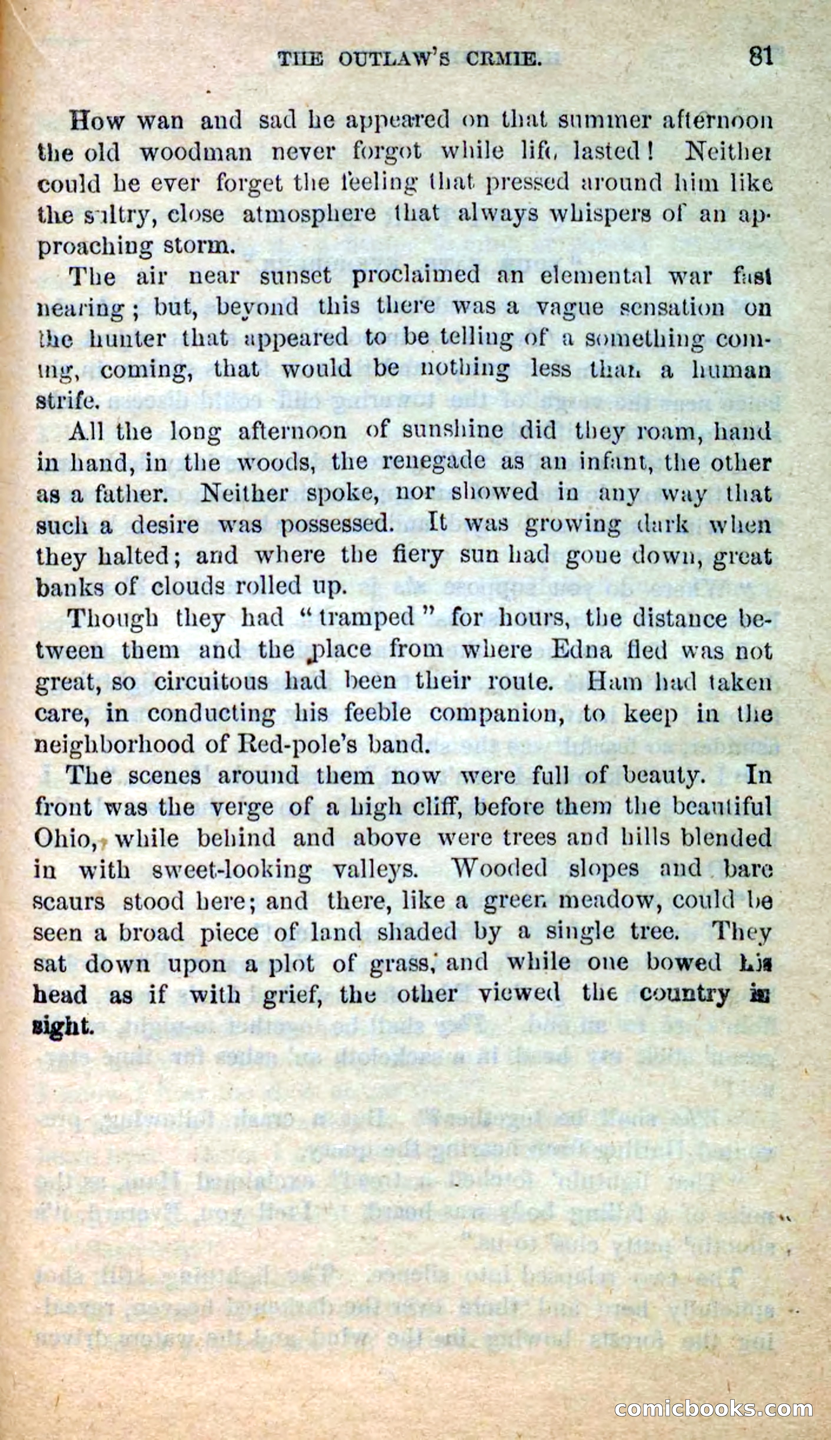 Beadle's New Dime Novels: Hunter Ham — page 78 of 101