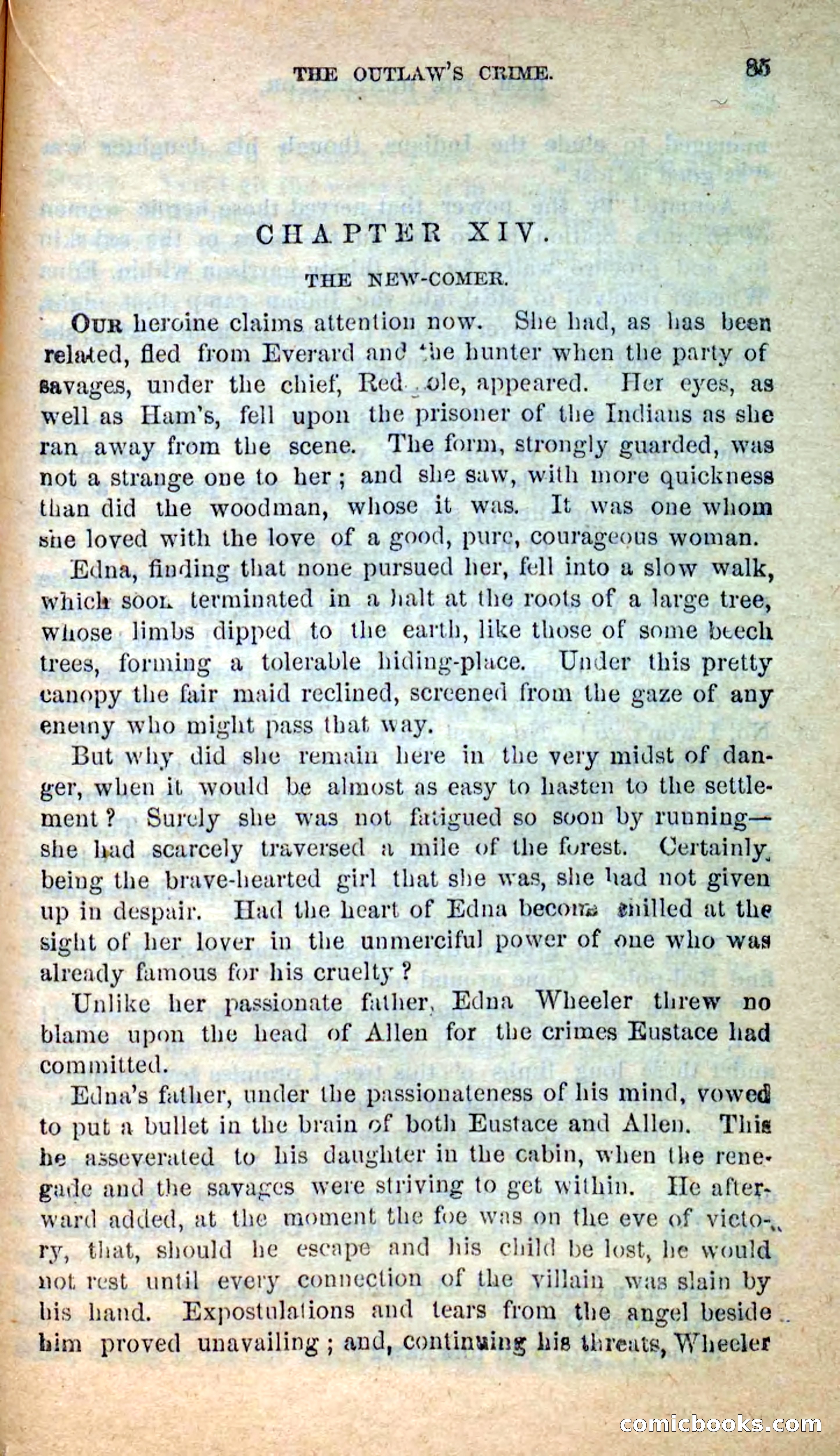 Beadle's New Dime Novels: Hunter Ham — page 82 of 101