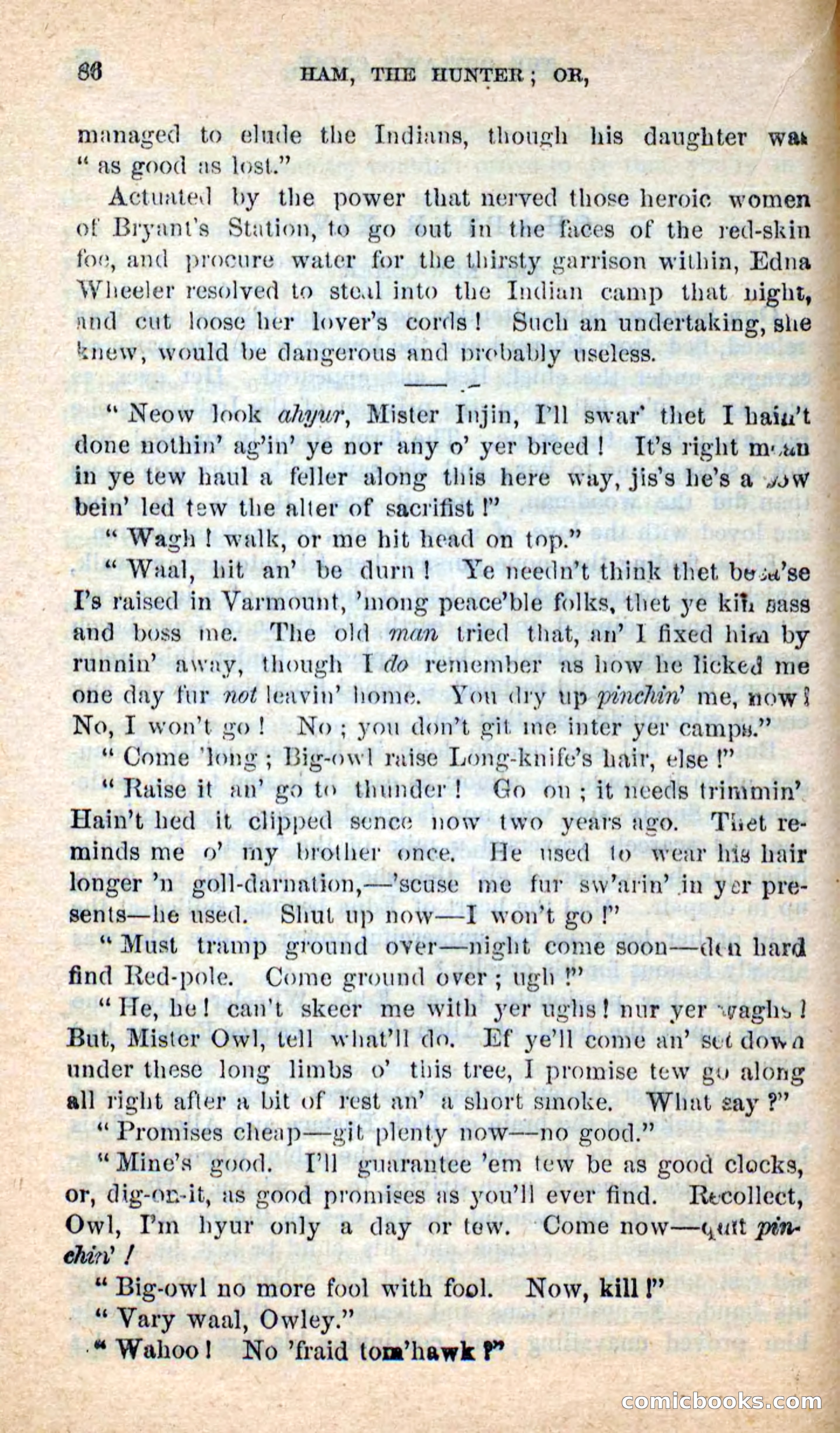 Beadle's New Dime Novels: Hunter Ham — page 83 of 101
