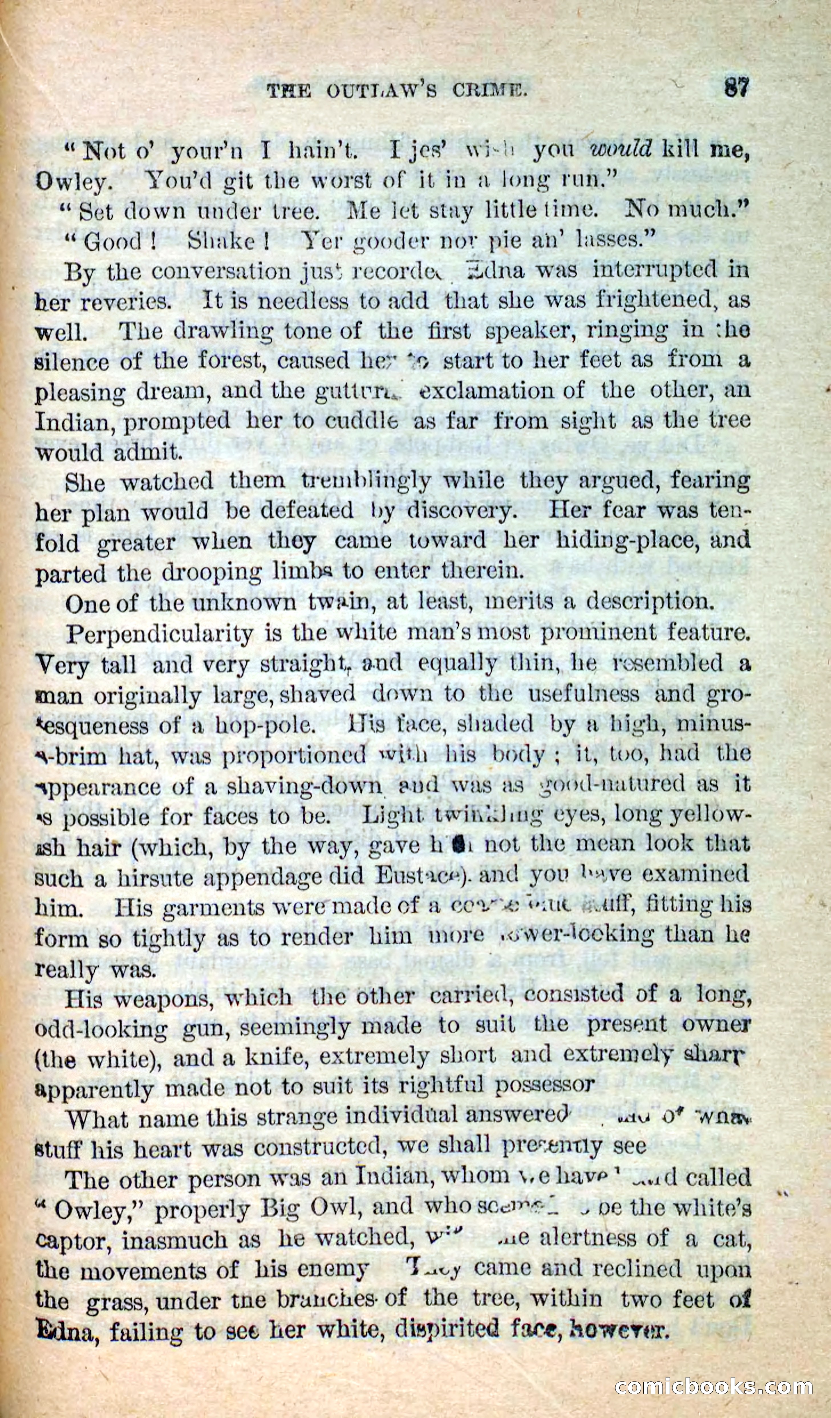 Beadle's New Dime Novels: Hunter Ham — page 84 of 101
