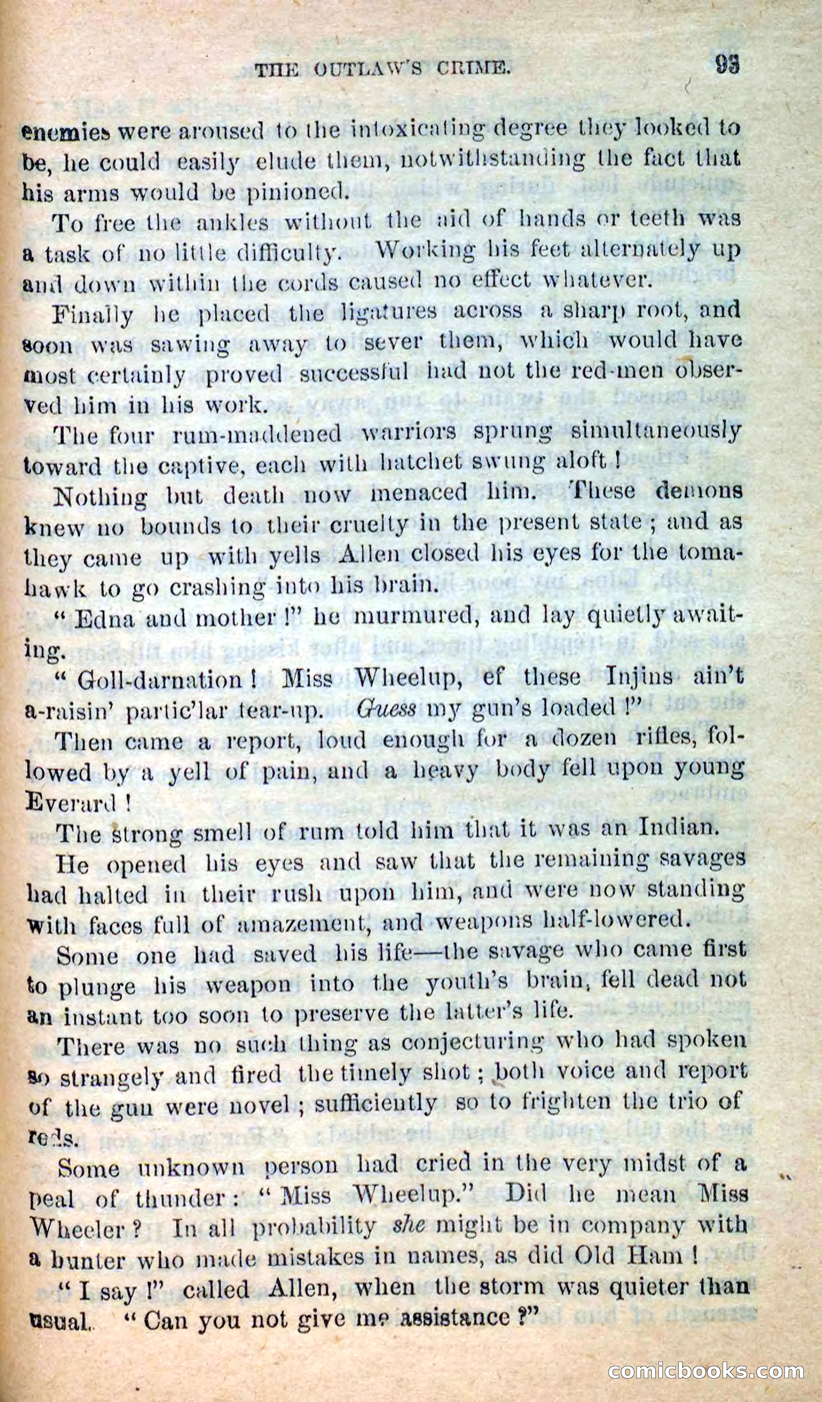 Beadle's New Dime Novels: Hunter Ham — page 90 of 101