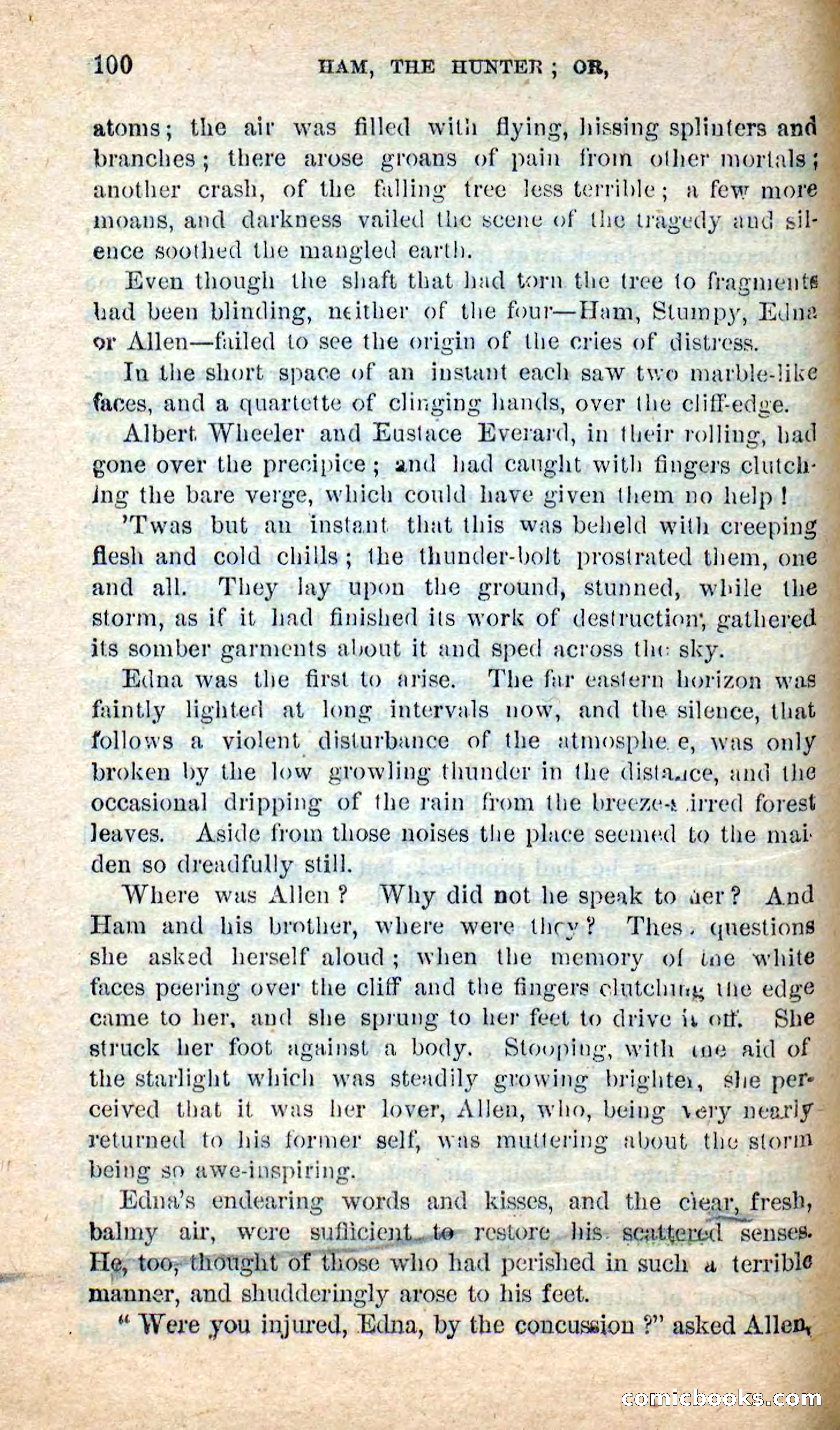 Beadle's New Dime Novels: Hunter Ham — page 97 of 101