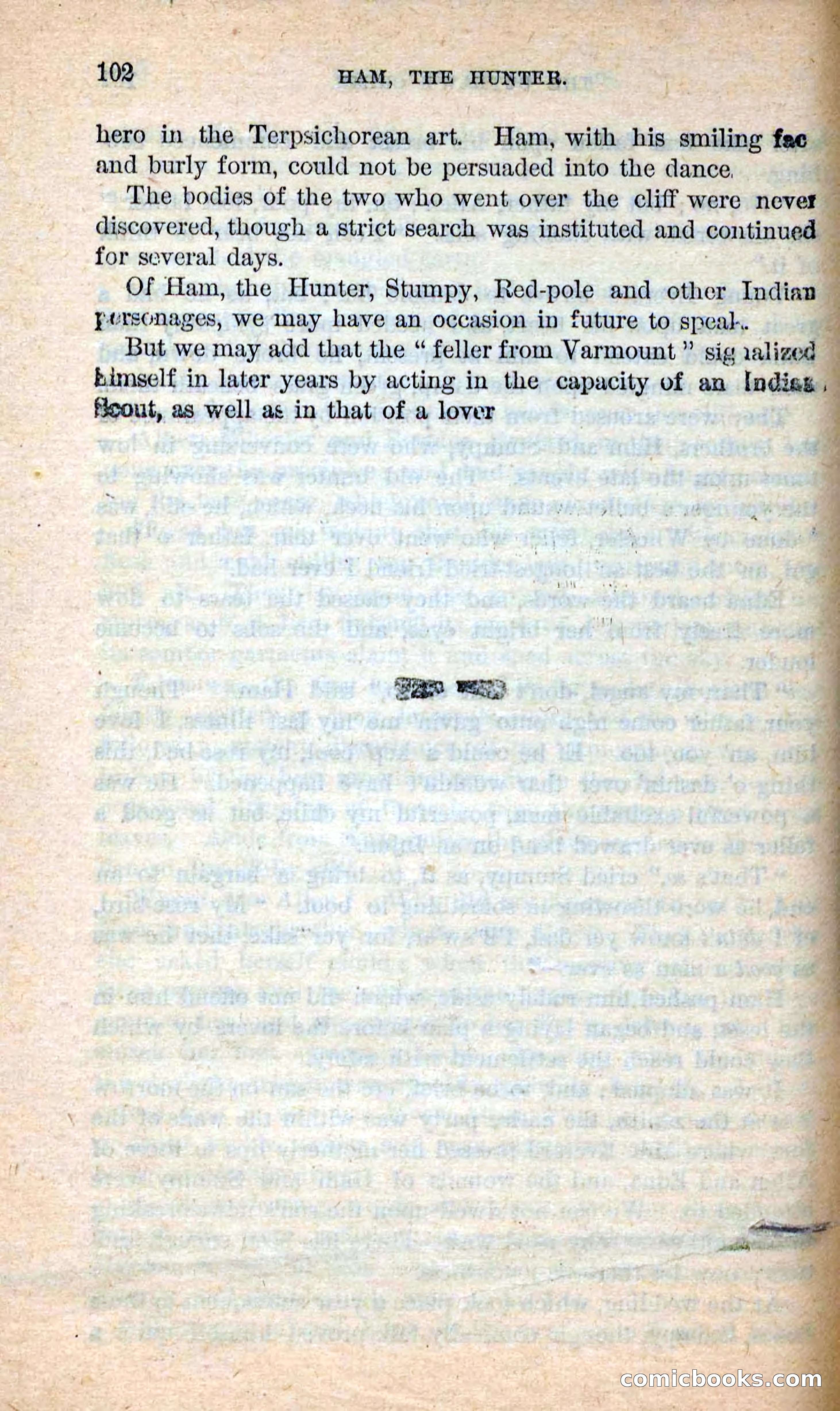 Beadle's New Dime Novels: Hunter Ham — page 99 of 101