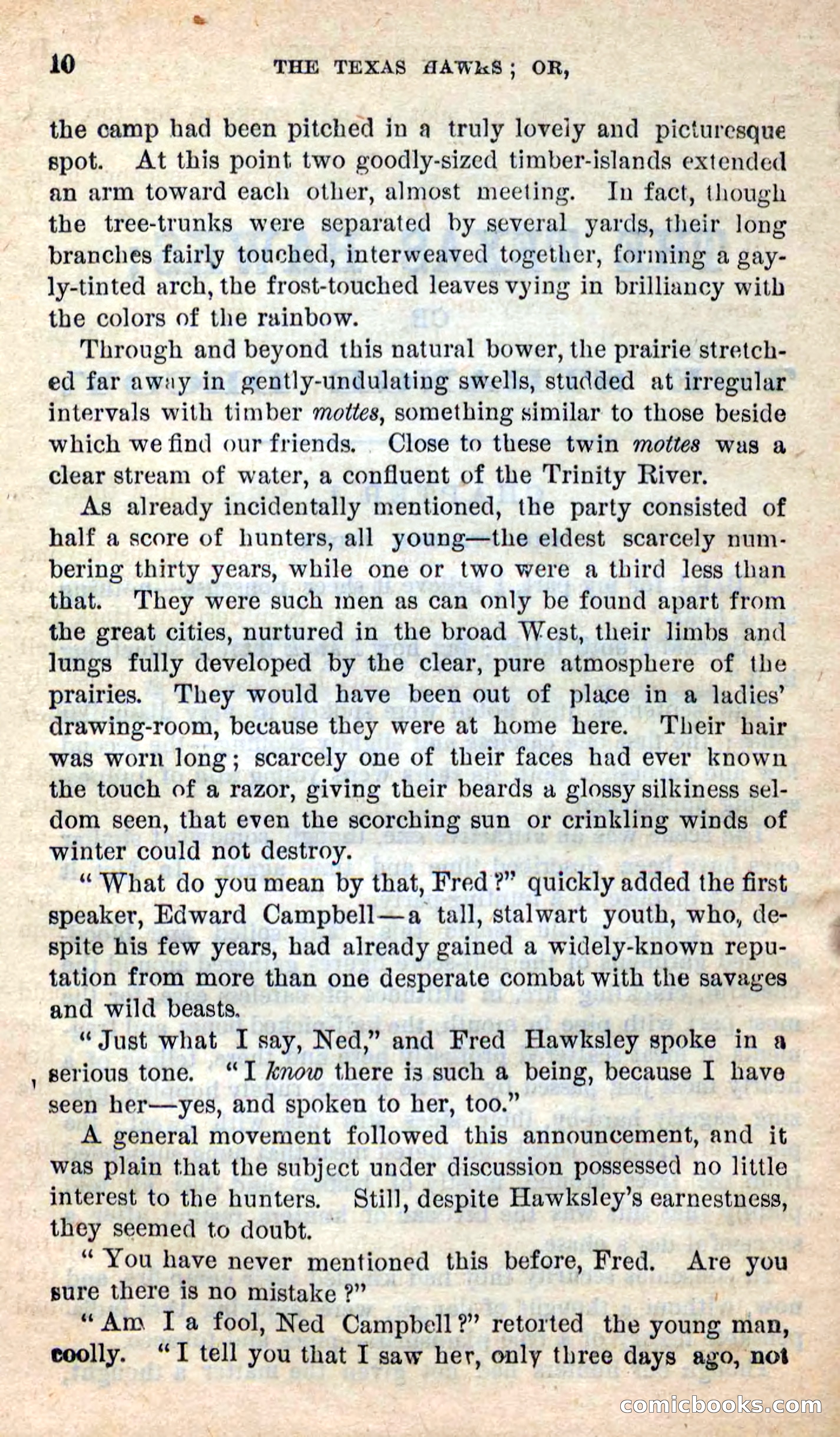 The Texas Hawks — page 6 of 101