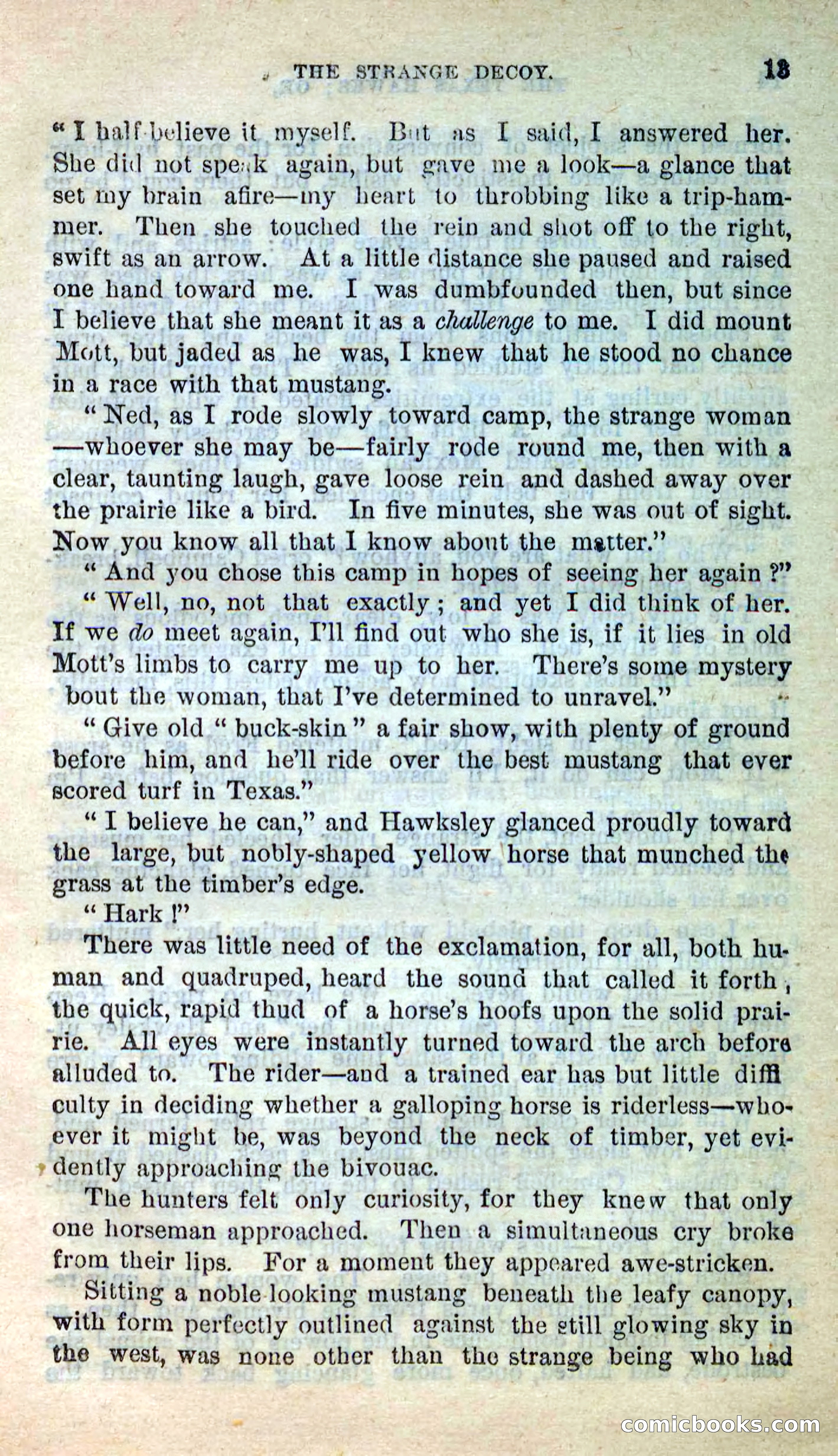 The Texas Hawks — page 9 of 101