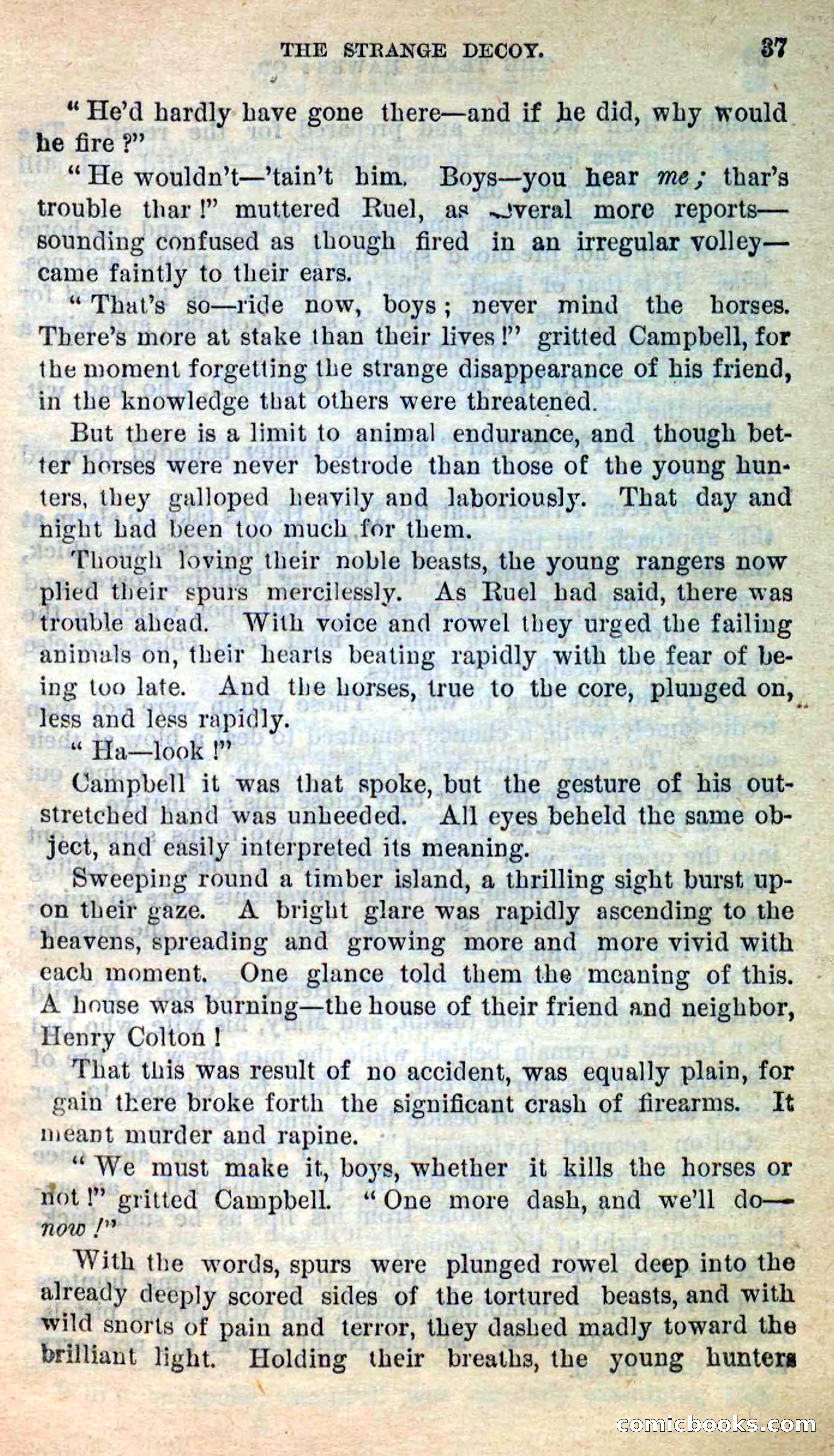 The Texas Hawks — page 34 of 101