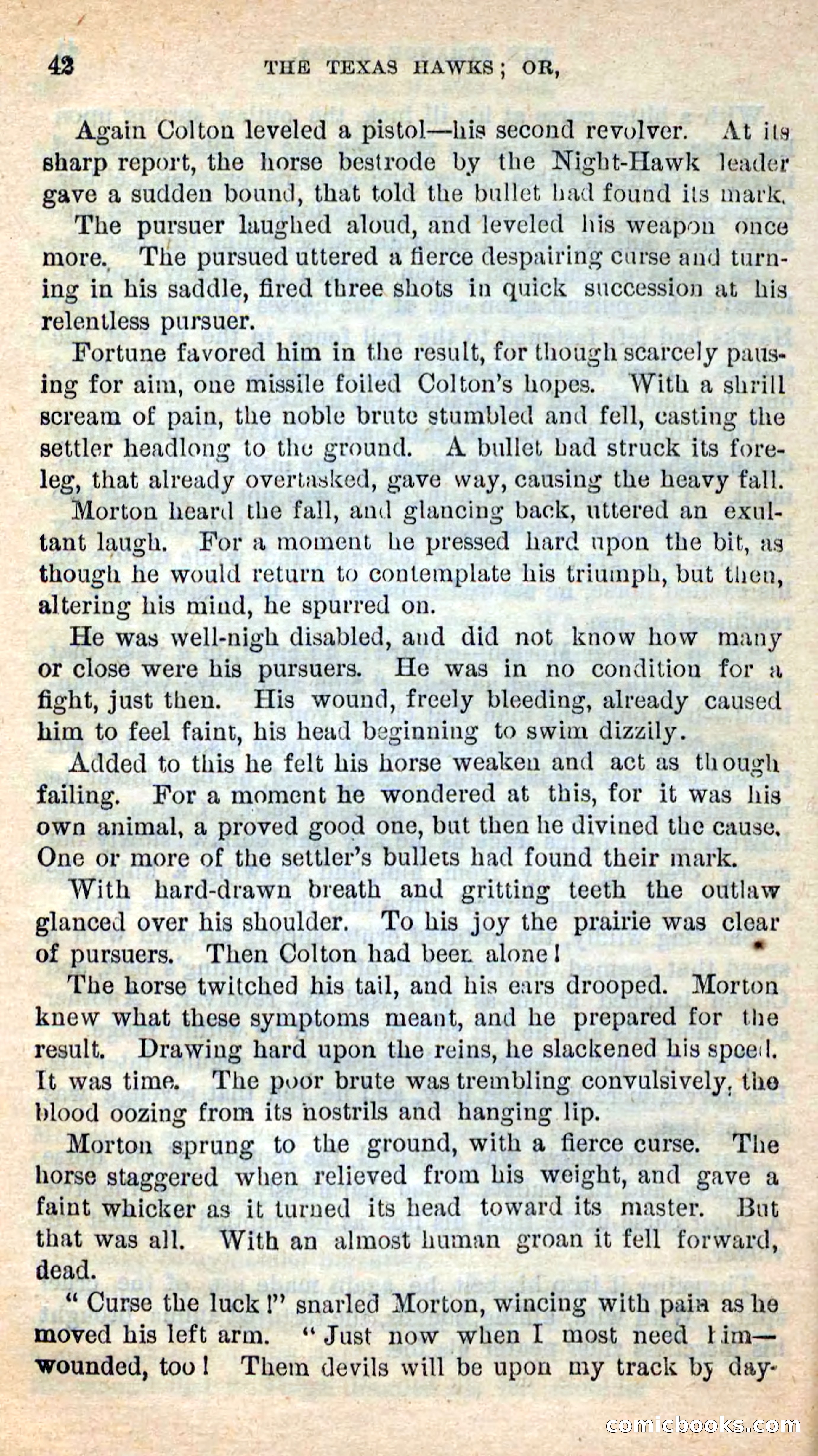 The Texas Hawks — page 39 of 101