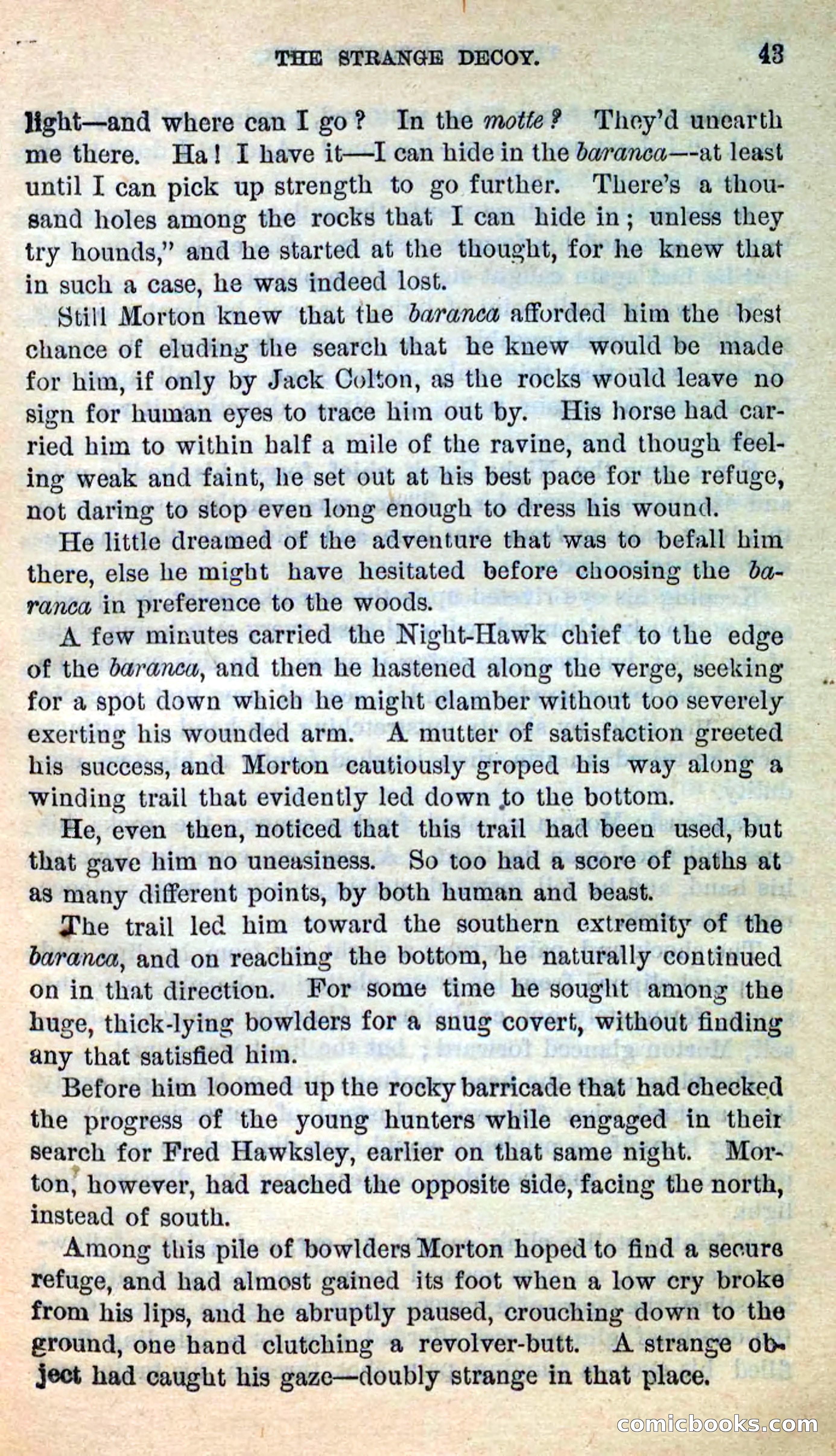 The Texas Hawks — page 40 of 101