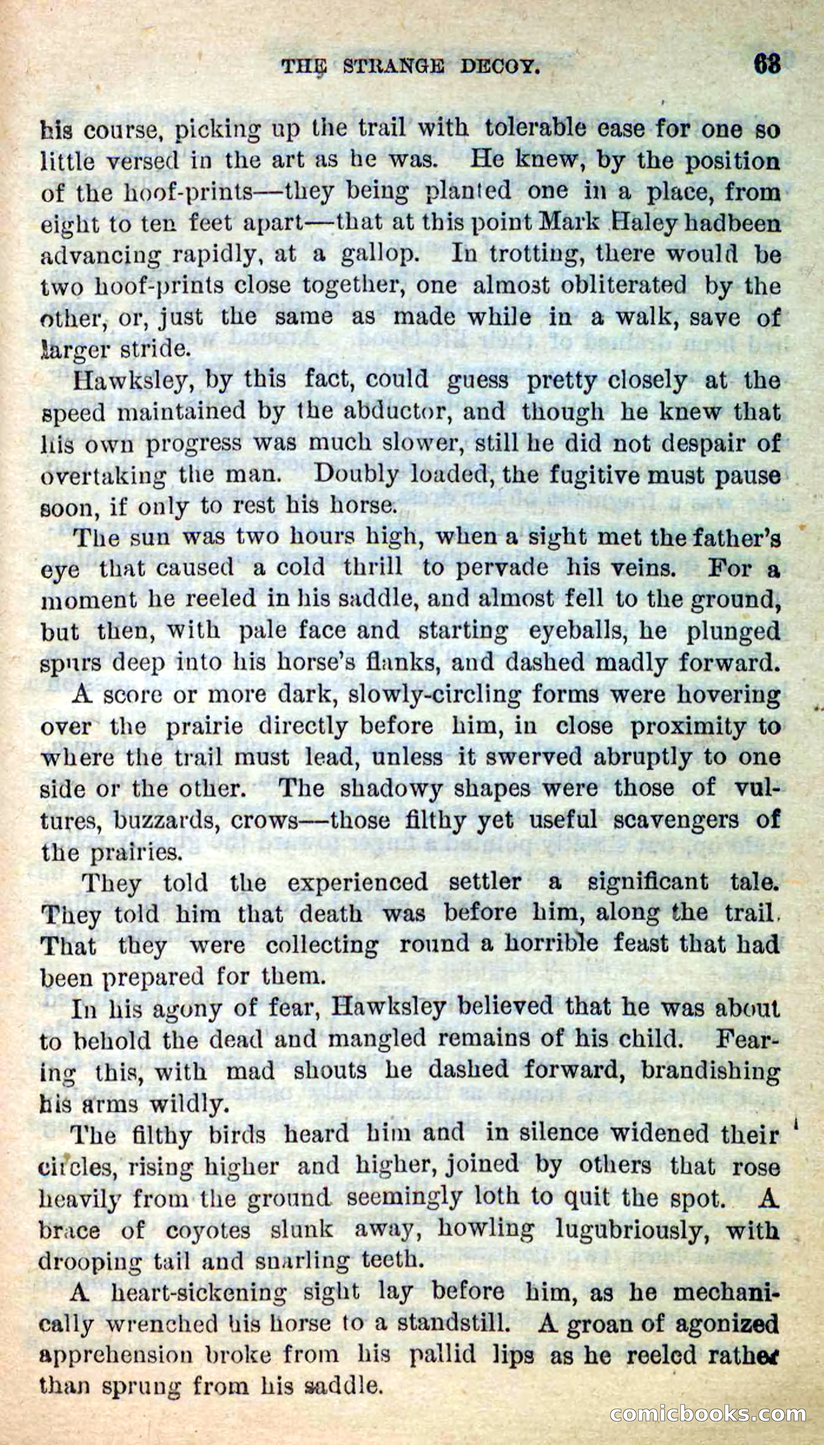 The Texas Hawks — page 60 of 101