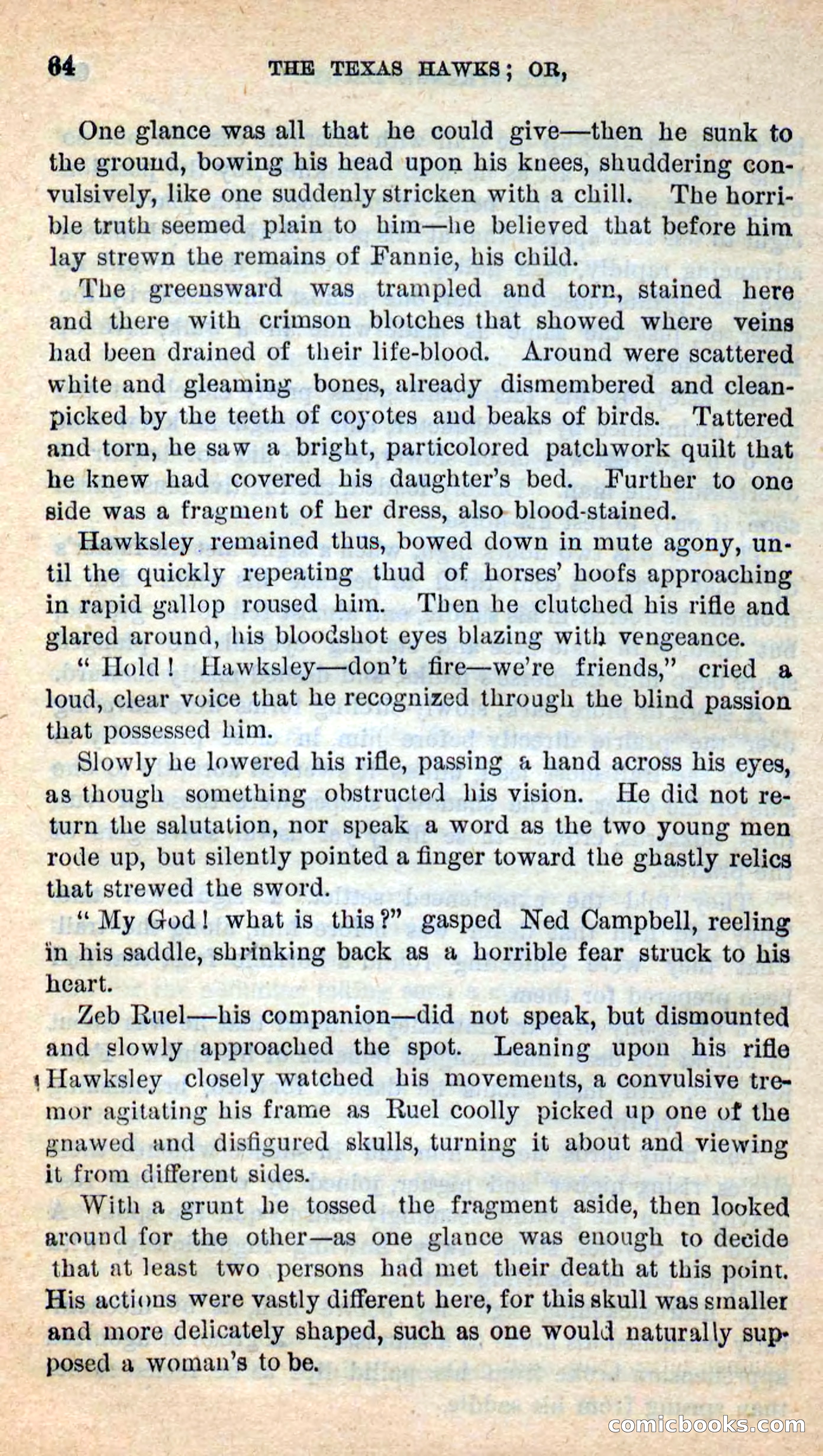 The Texas Hawks — page 61 of 101