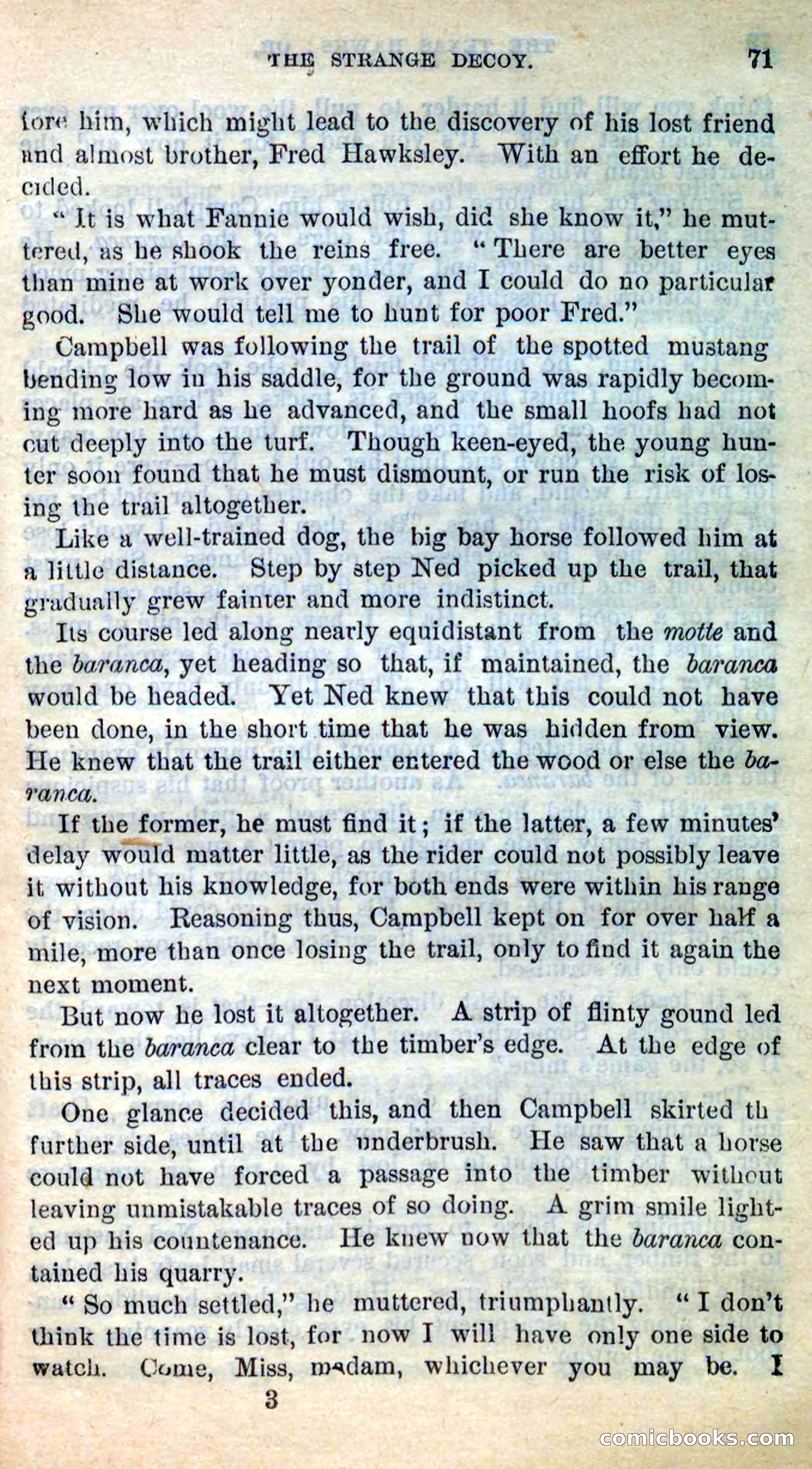 The Texas Hawks — page 68 of 101