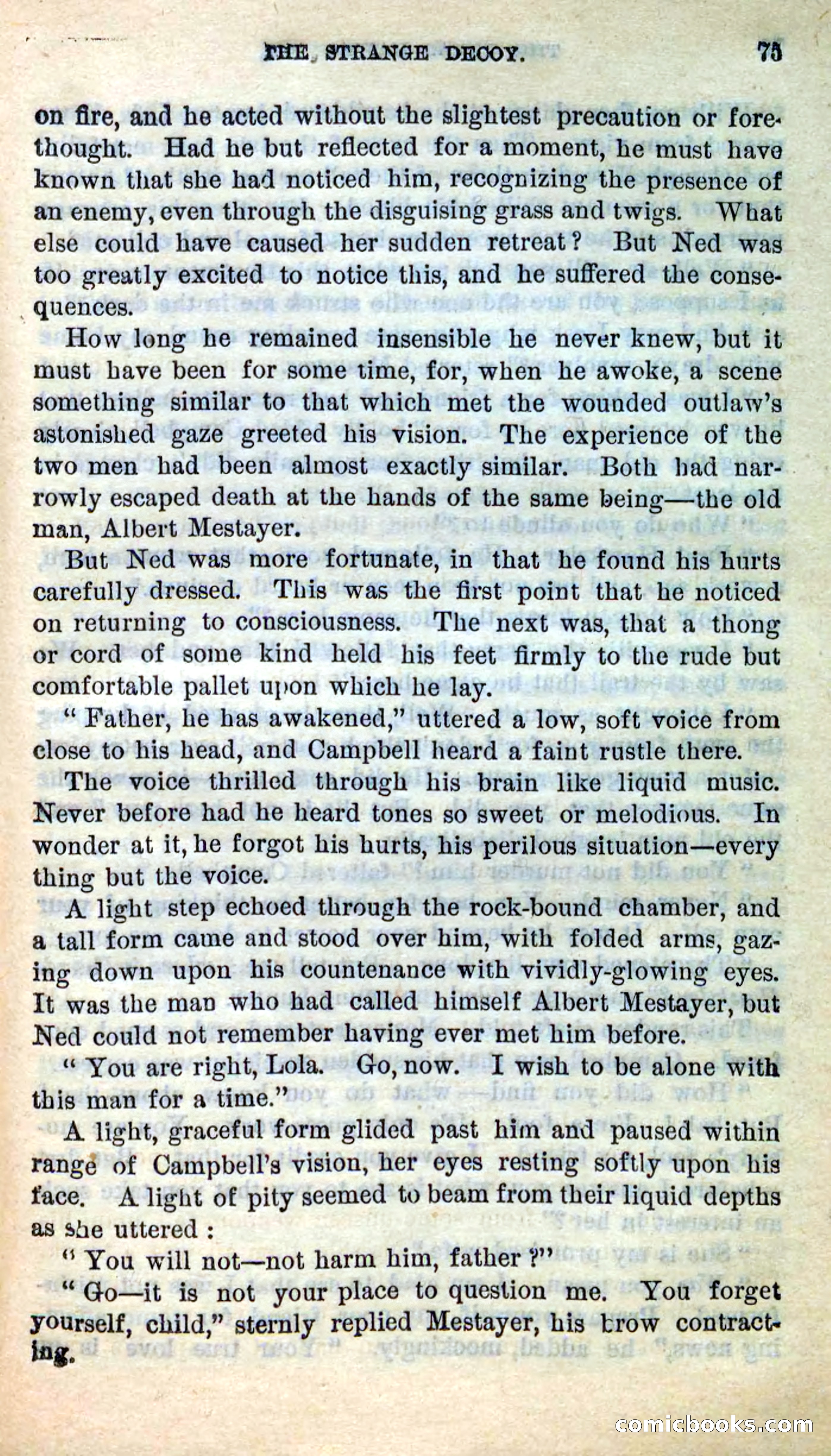 The Texas Hawks — page 72 of 101