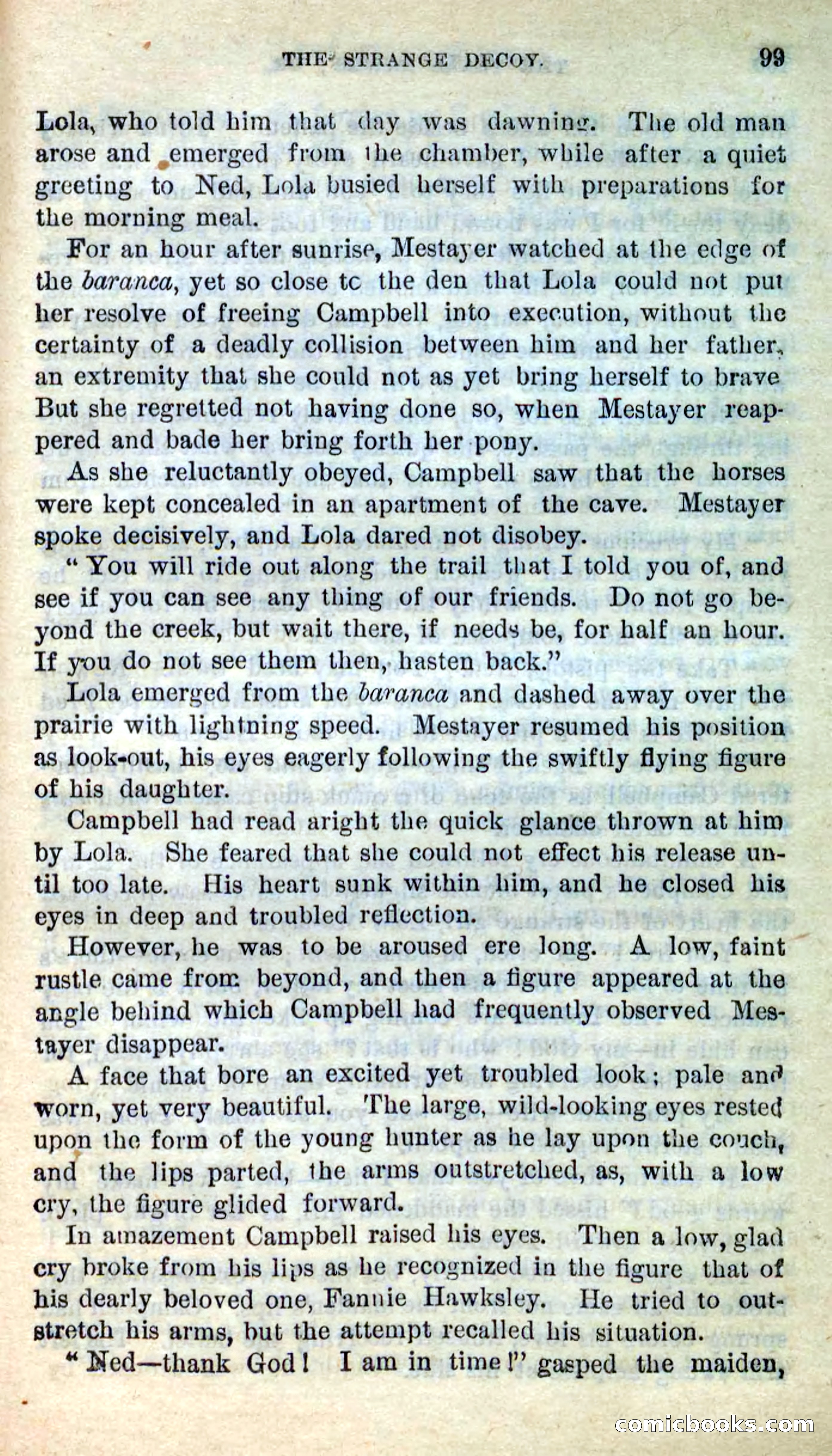 The Texas Hawks — page 96 of 101