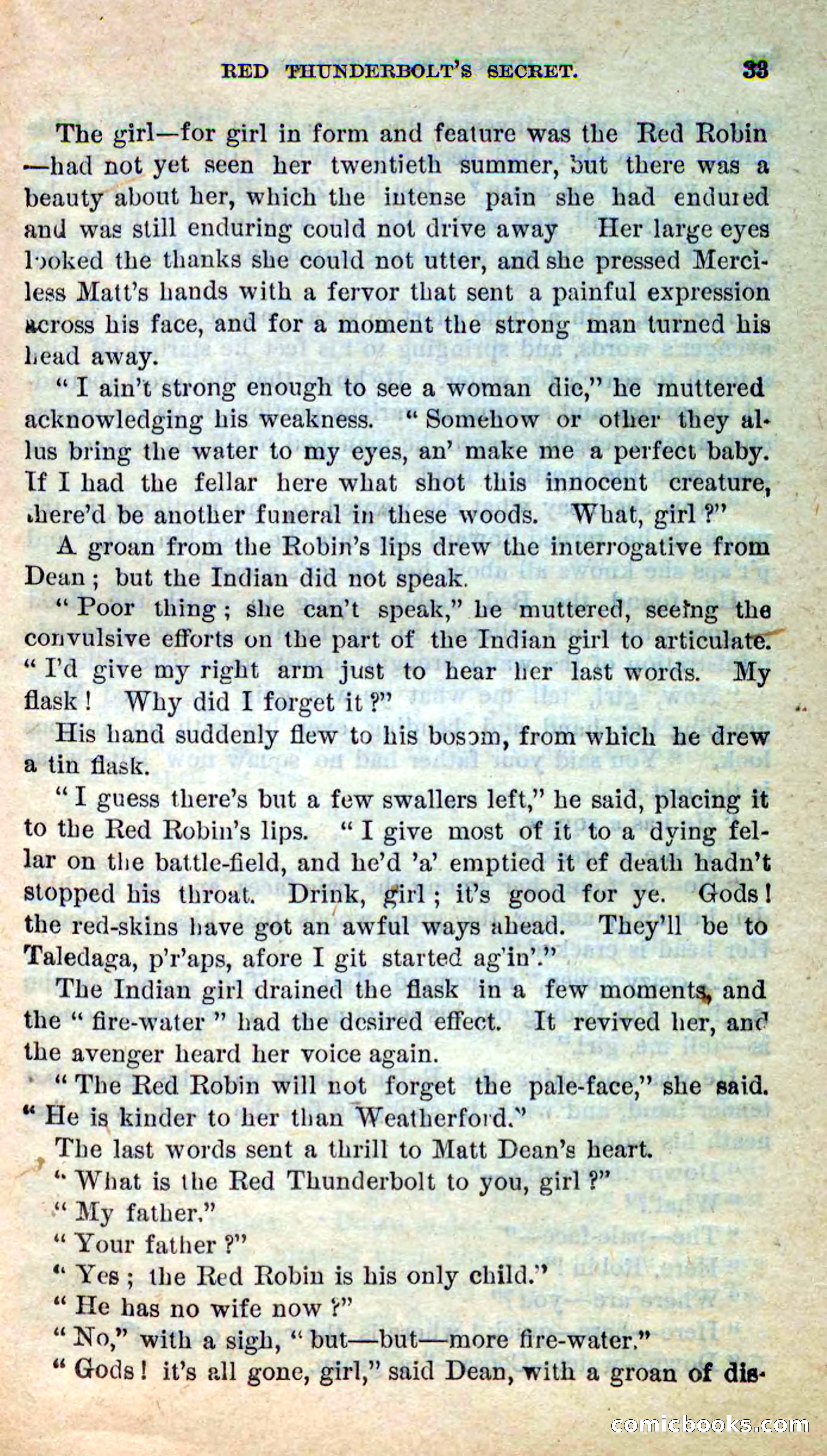 Beadle's New Dime Novels: Merciless Matt — page 29 of 100