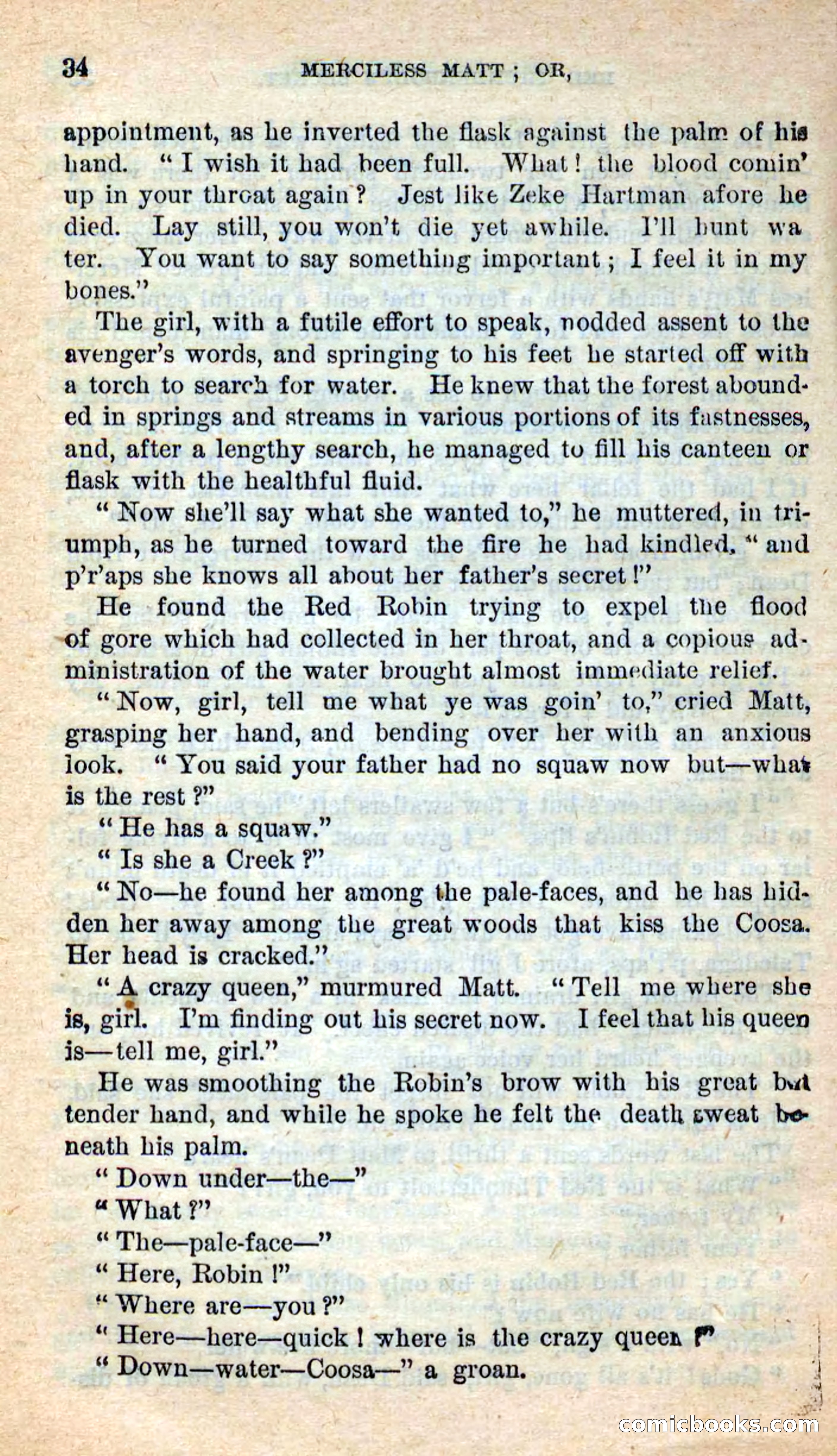 Beadle's New Dime Novels: Merciless Matt — page 30 of 100