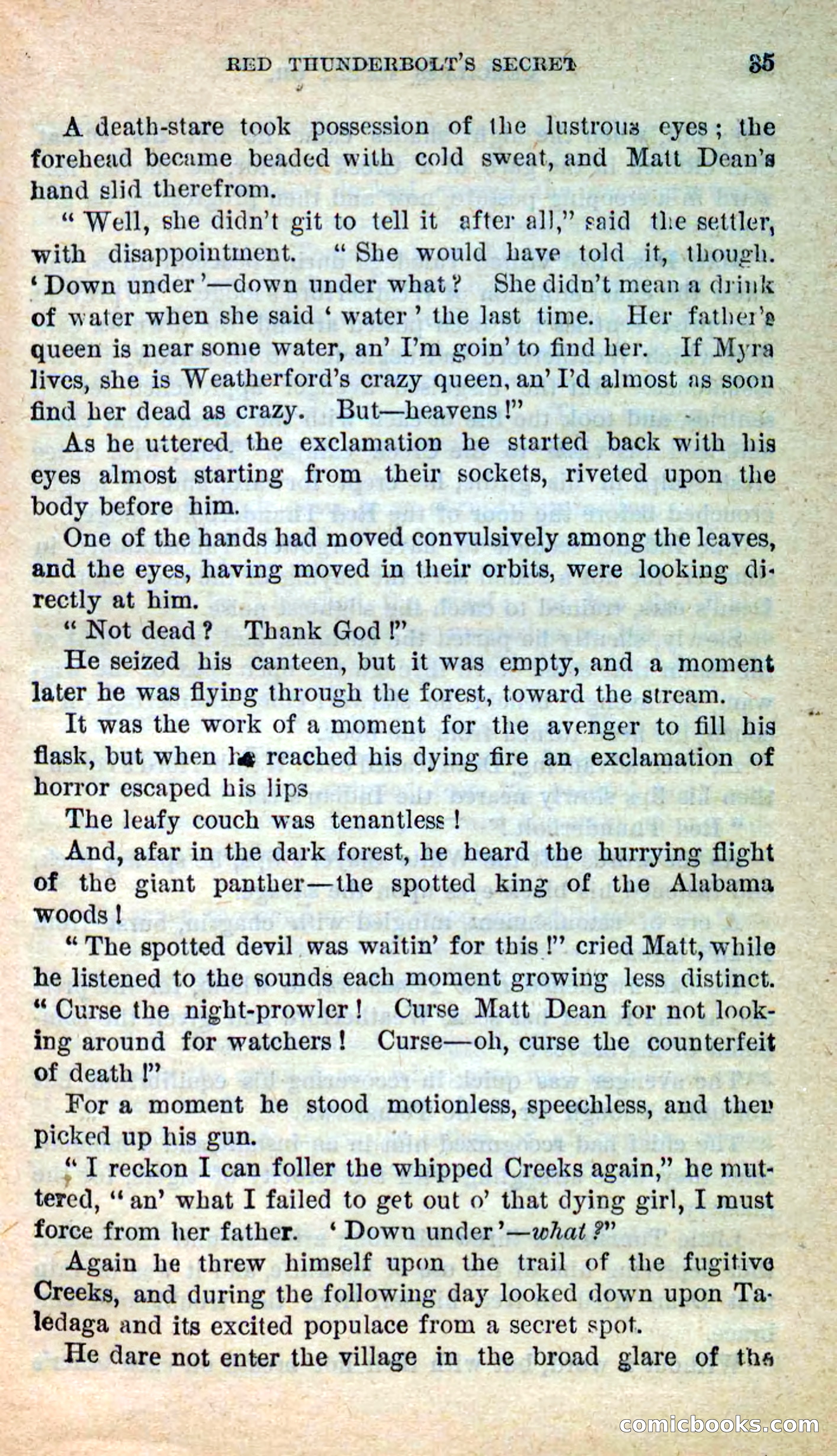 Beadle's New Dime Novels: Merciless Matt — page 31 of 100