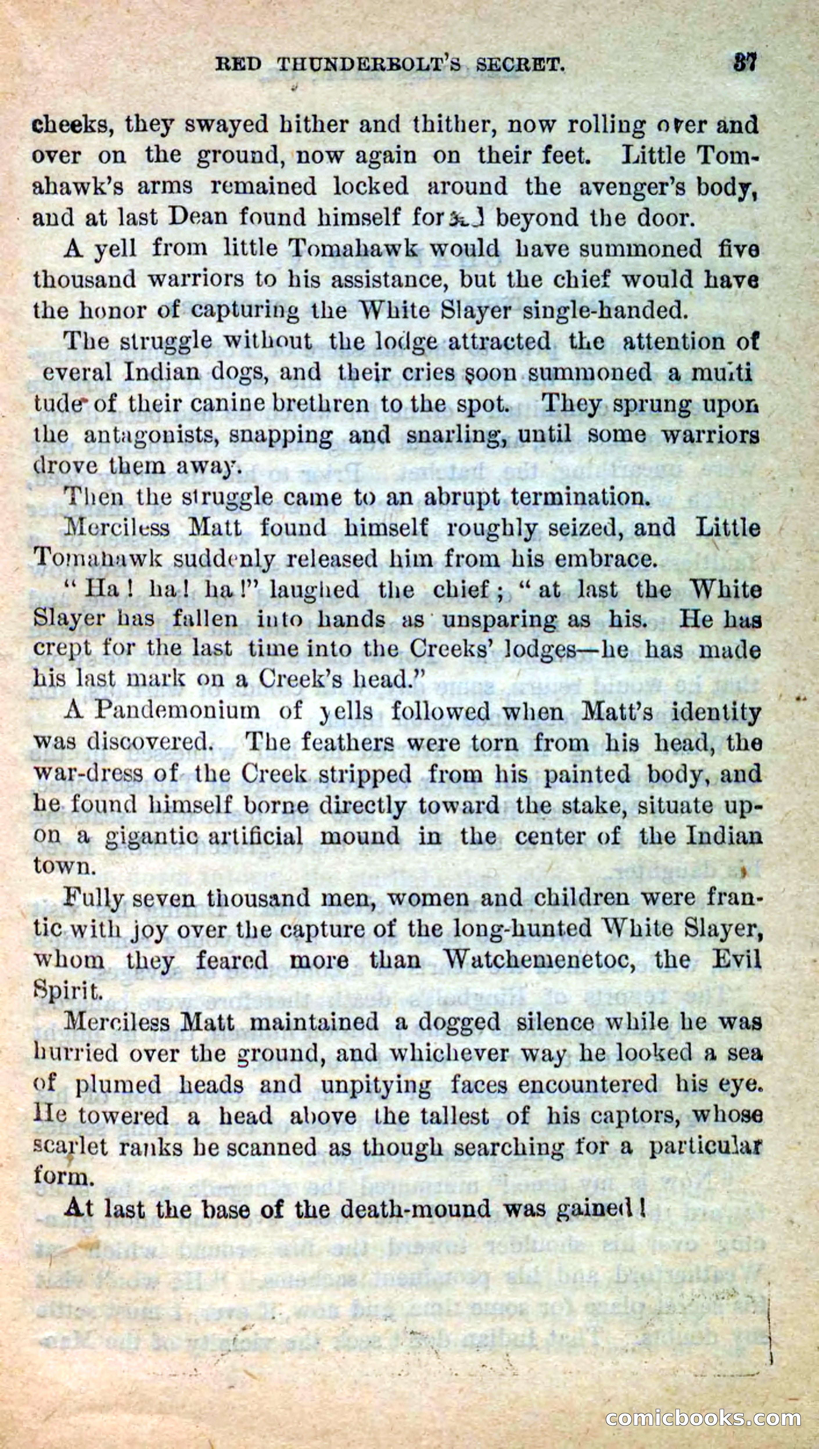 Beadle's New Dime Novels: Merciless Matt — page 33 of 100