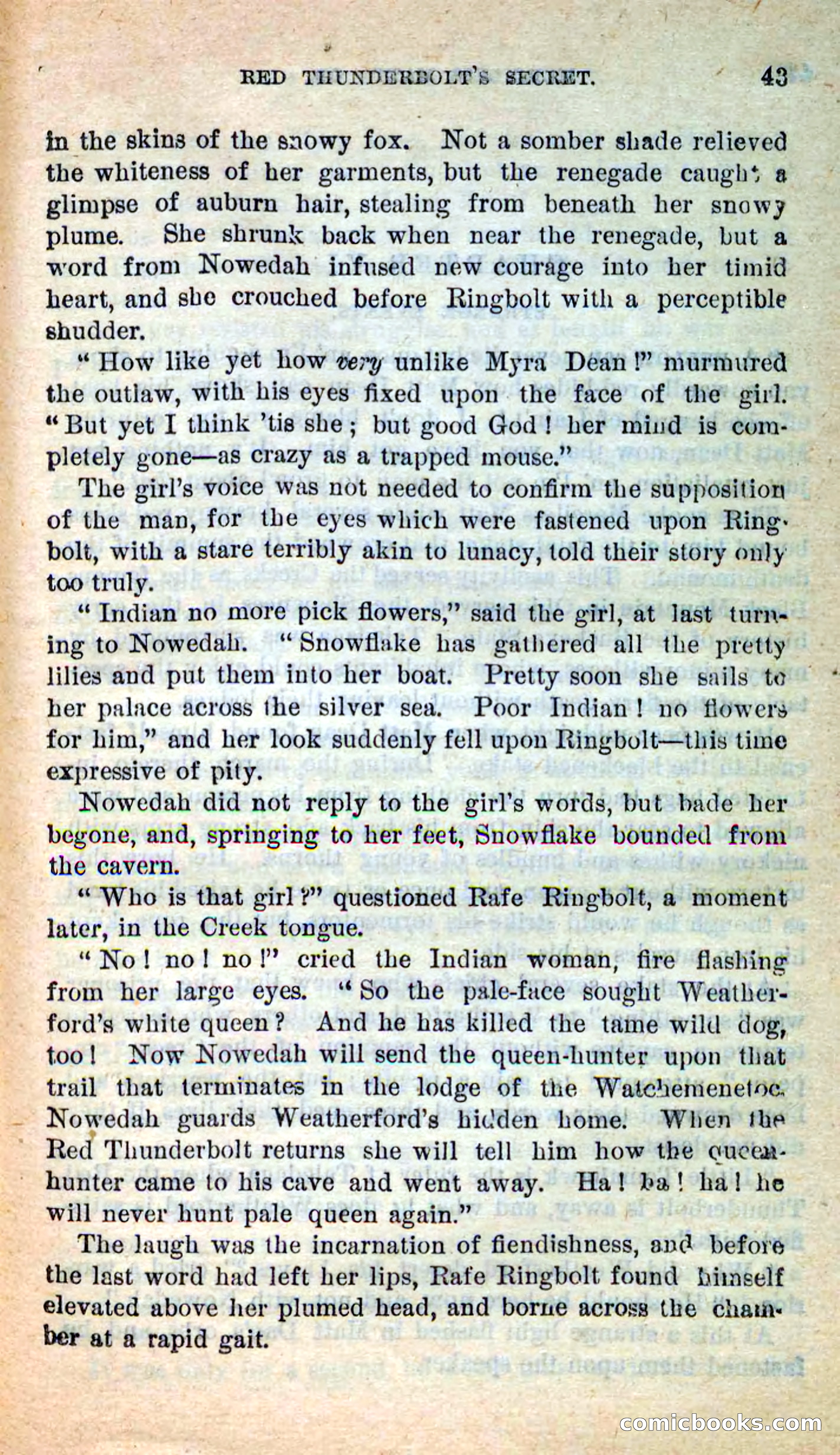 Beadle's New Dime Novels: Merciless Matt — page 39 of 100