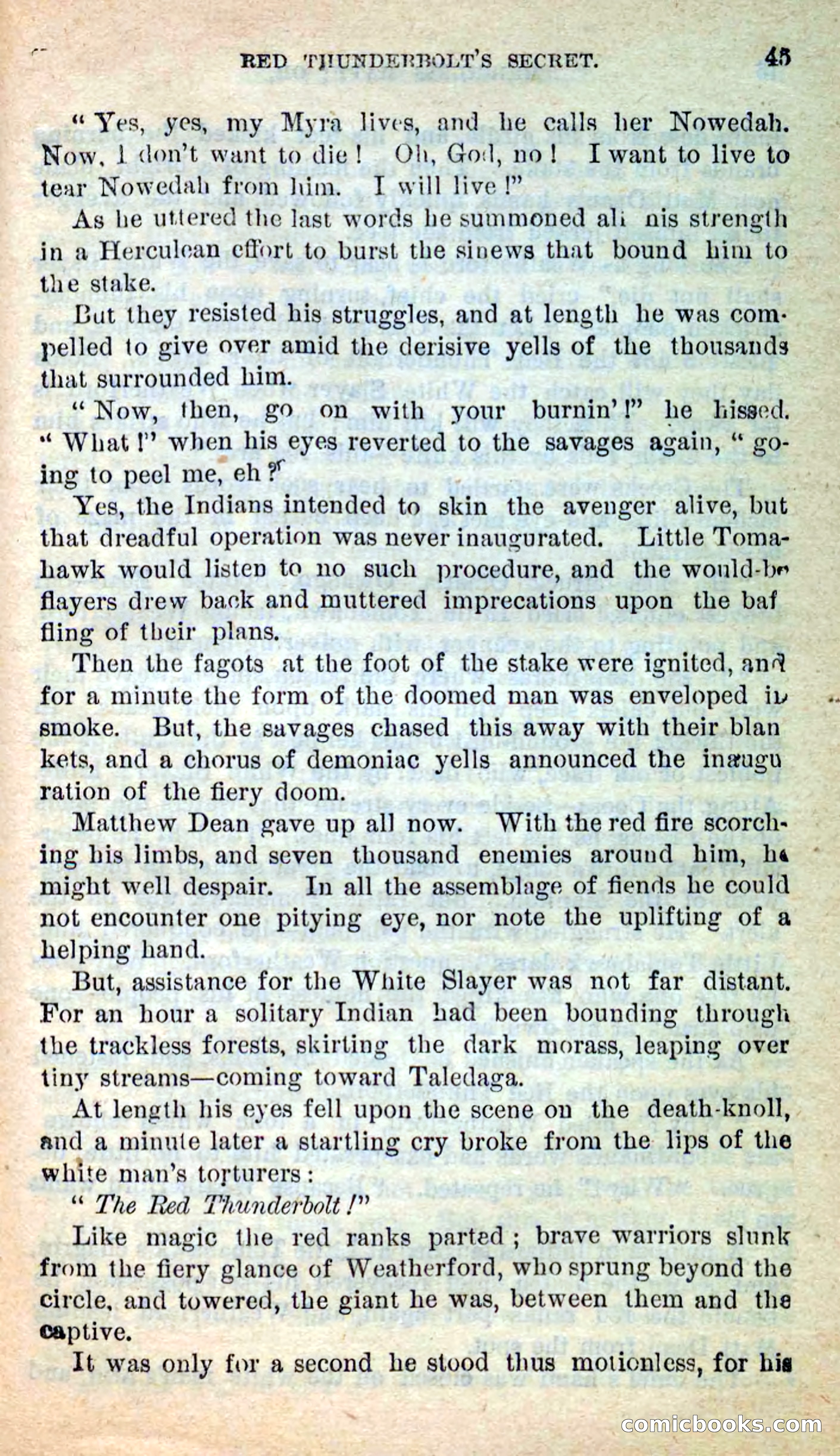 Beadle's New Dime Novels: Merciless Matt — page 41 of 100