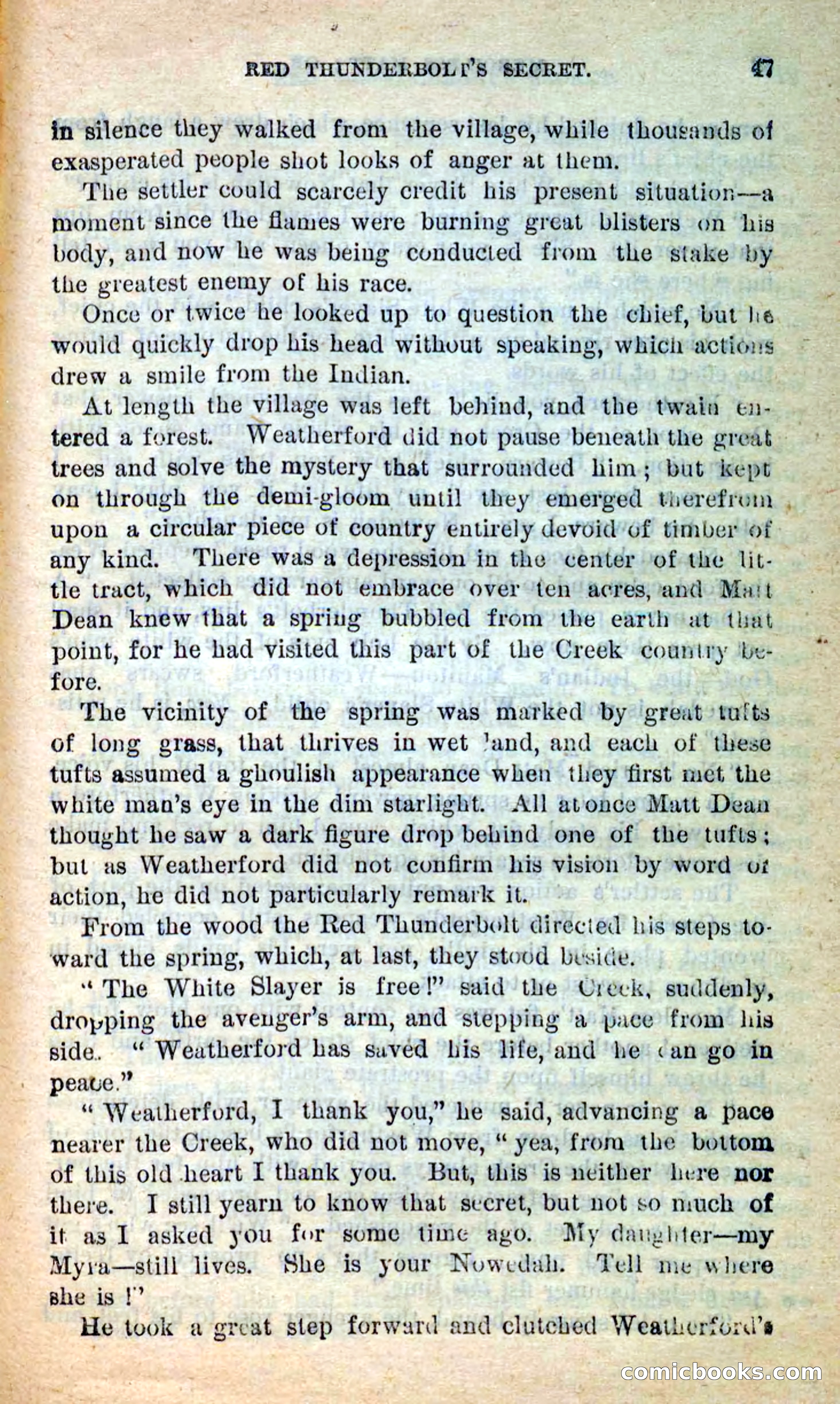 Beadle's New Dime Novels: Merciless Matt — page 43 of 100