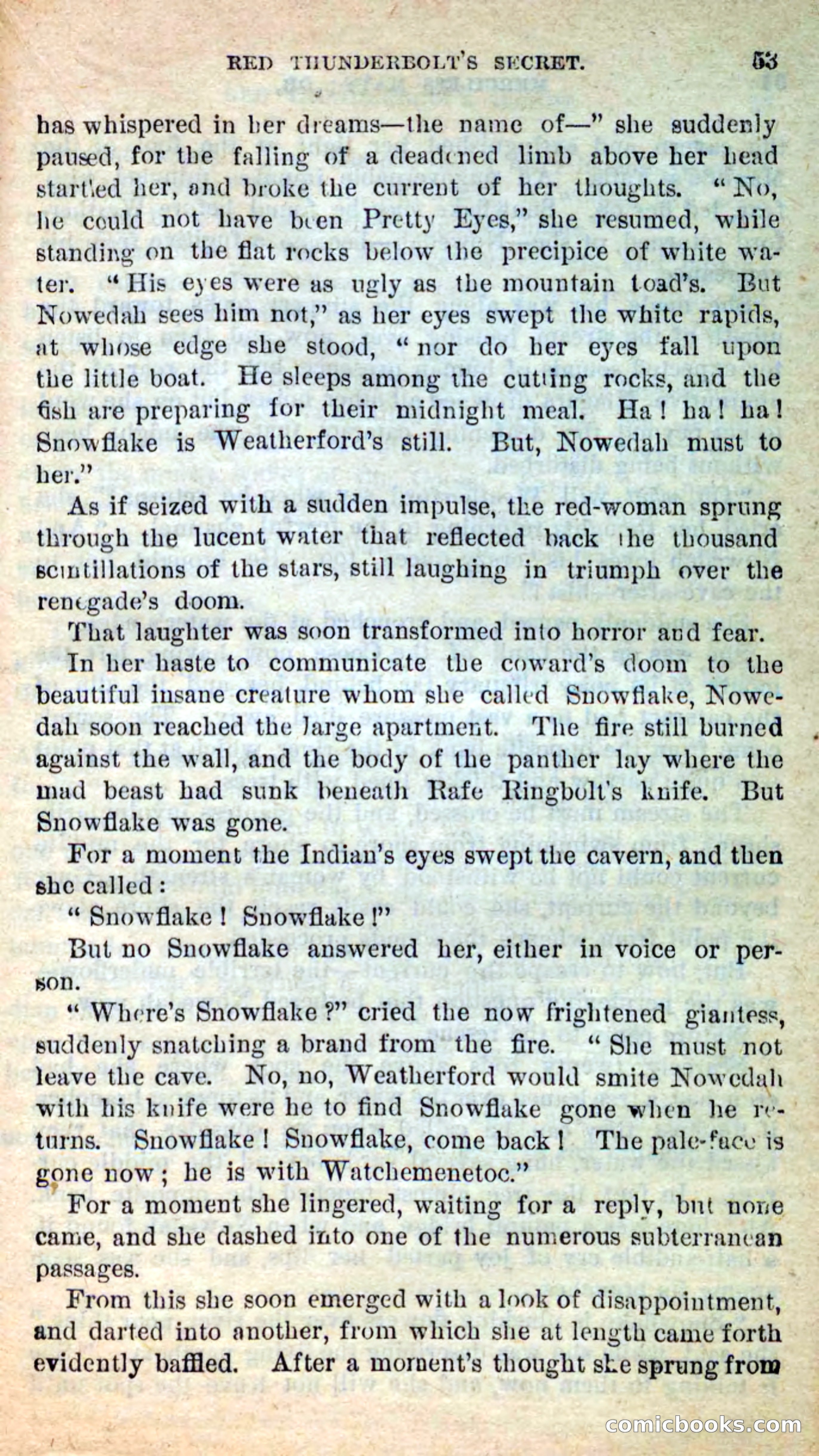 Beadle's New Dime Novels: Merciless Matt — page 49 of 100