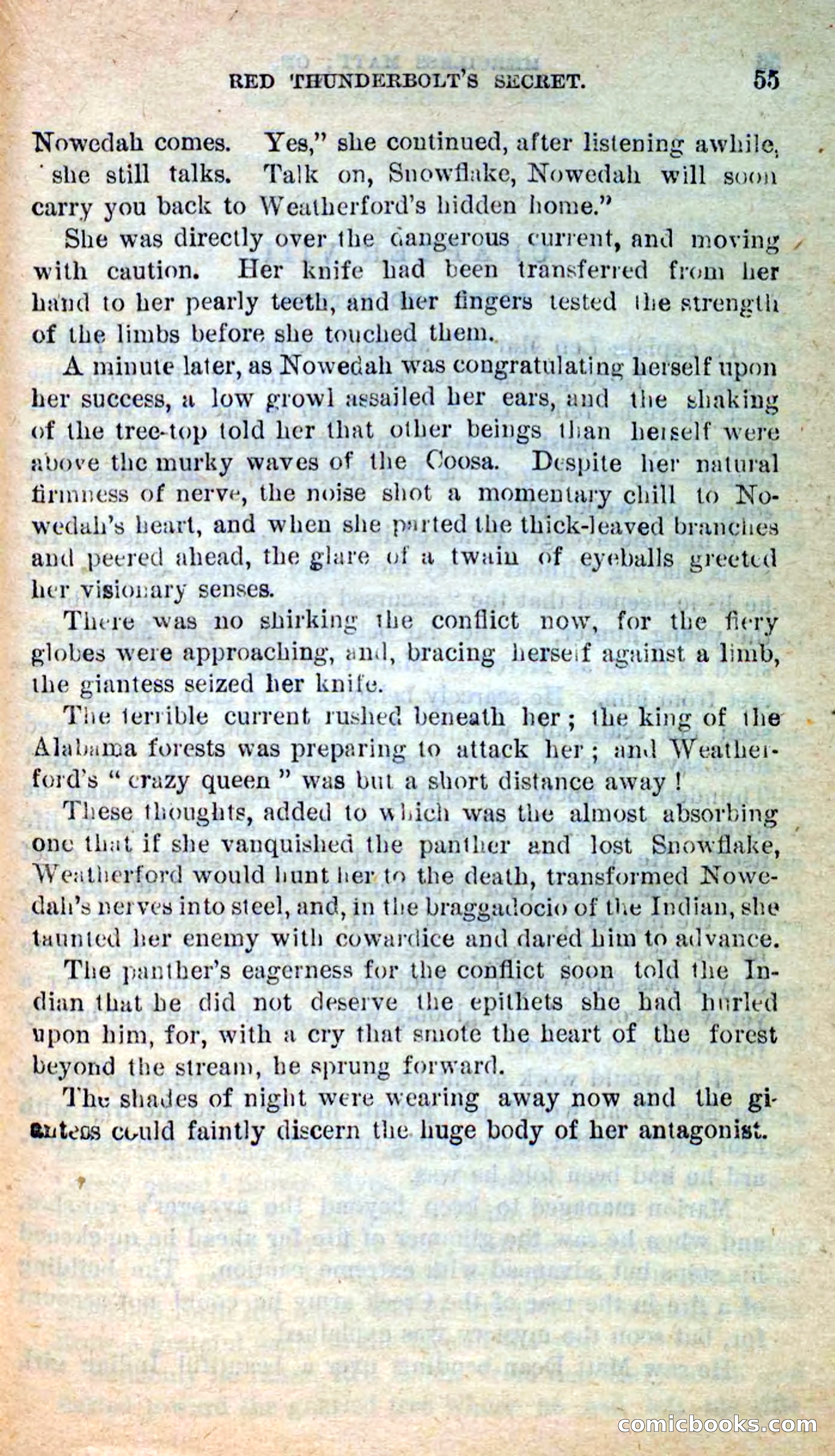 Beadle's New Dime Novels: Merciless Matt — page 51 of 100
