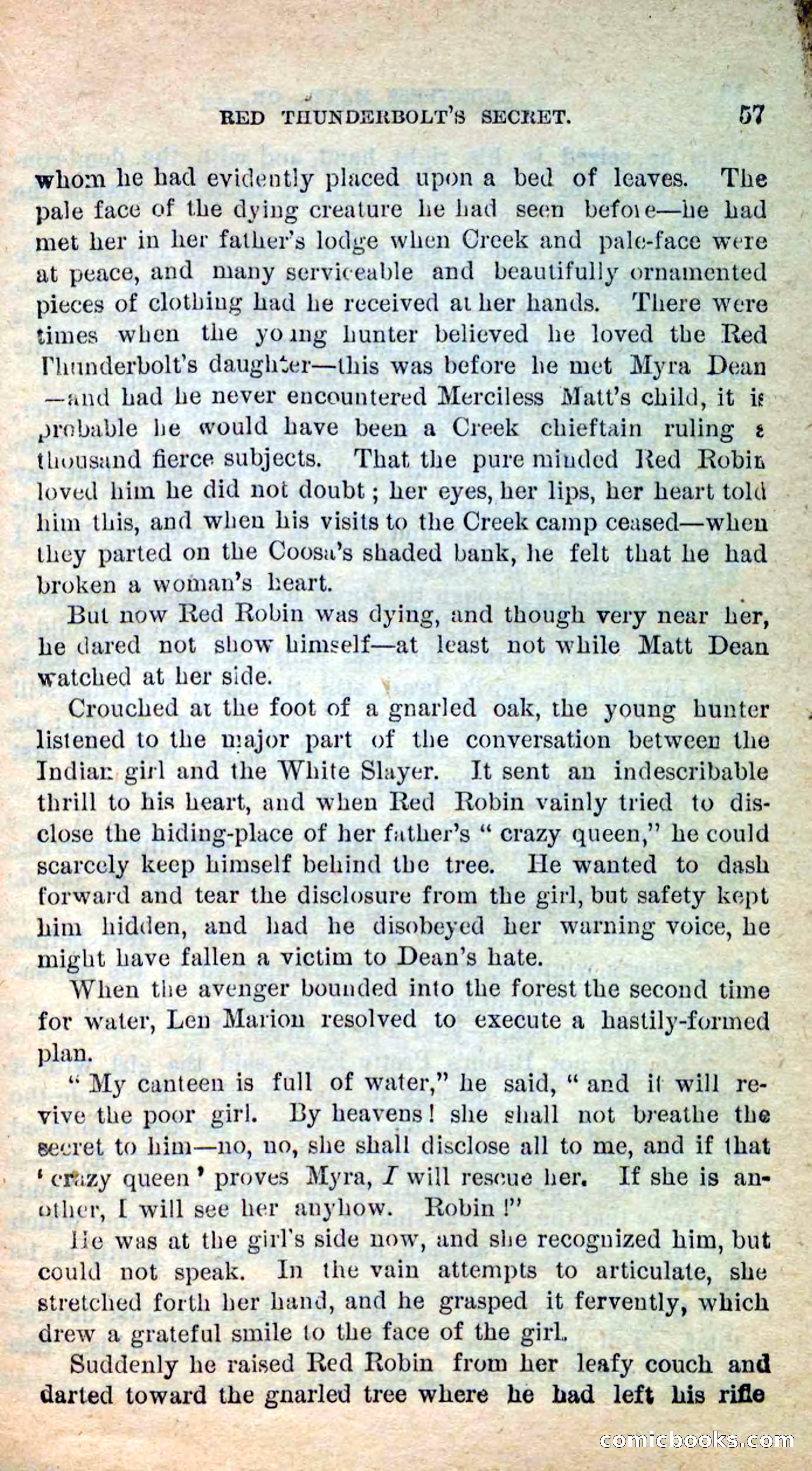 Beadle's New Dime Novels: Merciless Matt — page 53 of 100