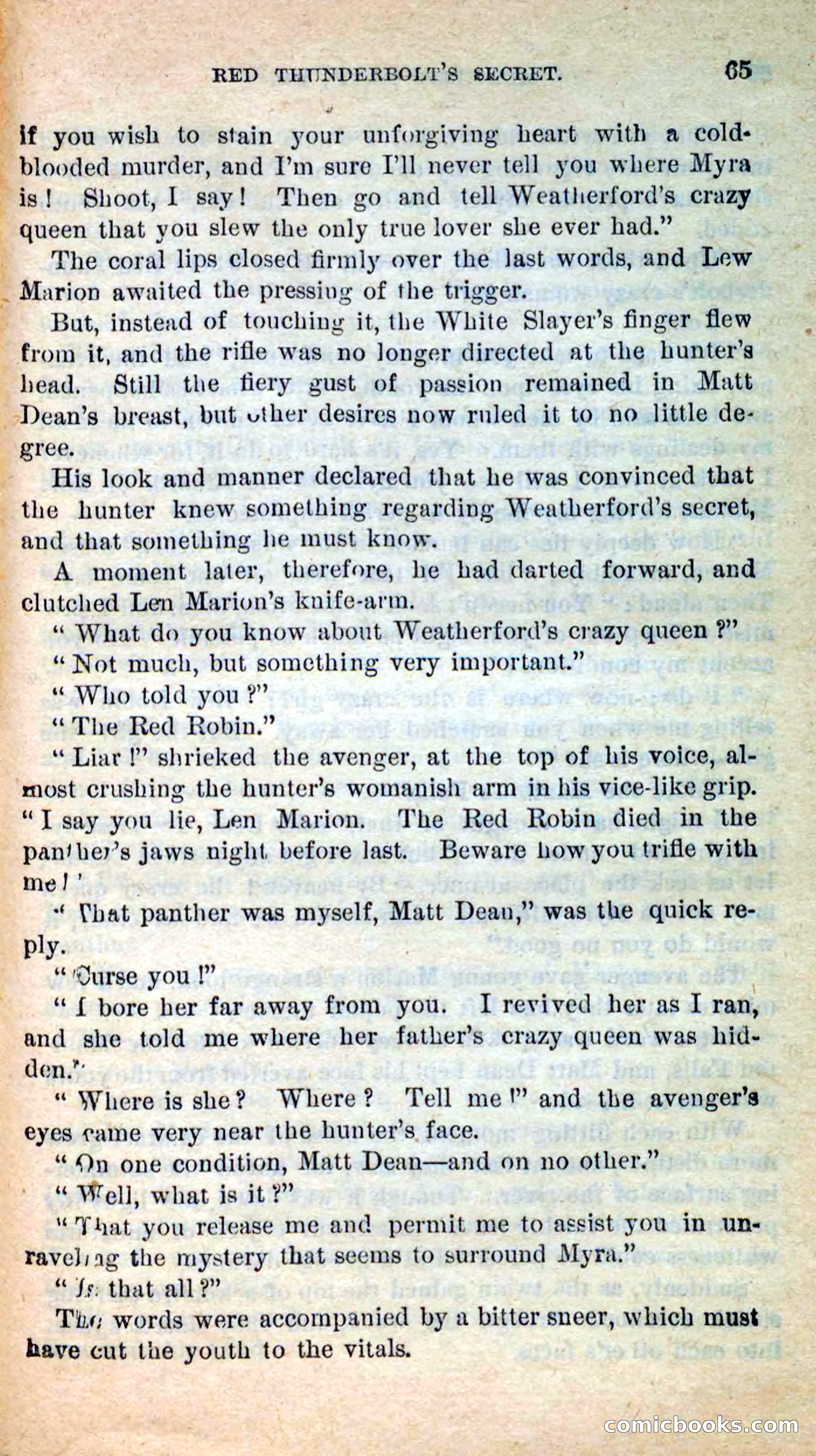 Beadle's New Dime Novels: Merciless Matt — page 61 of 100