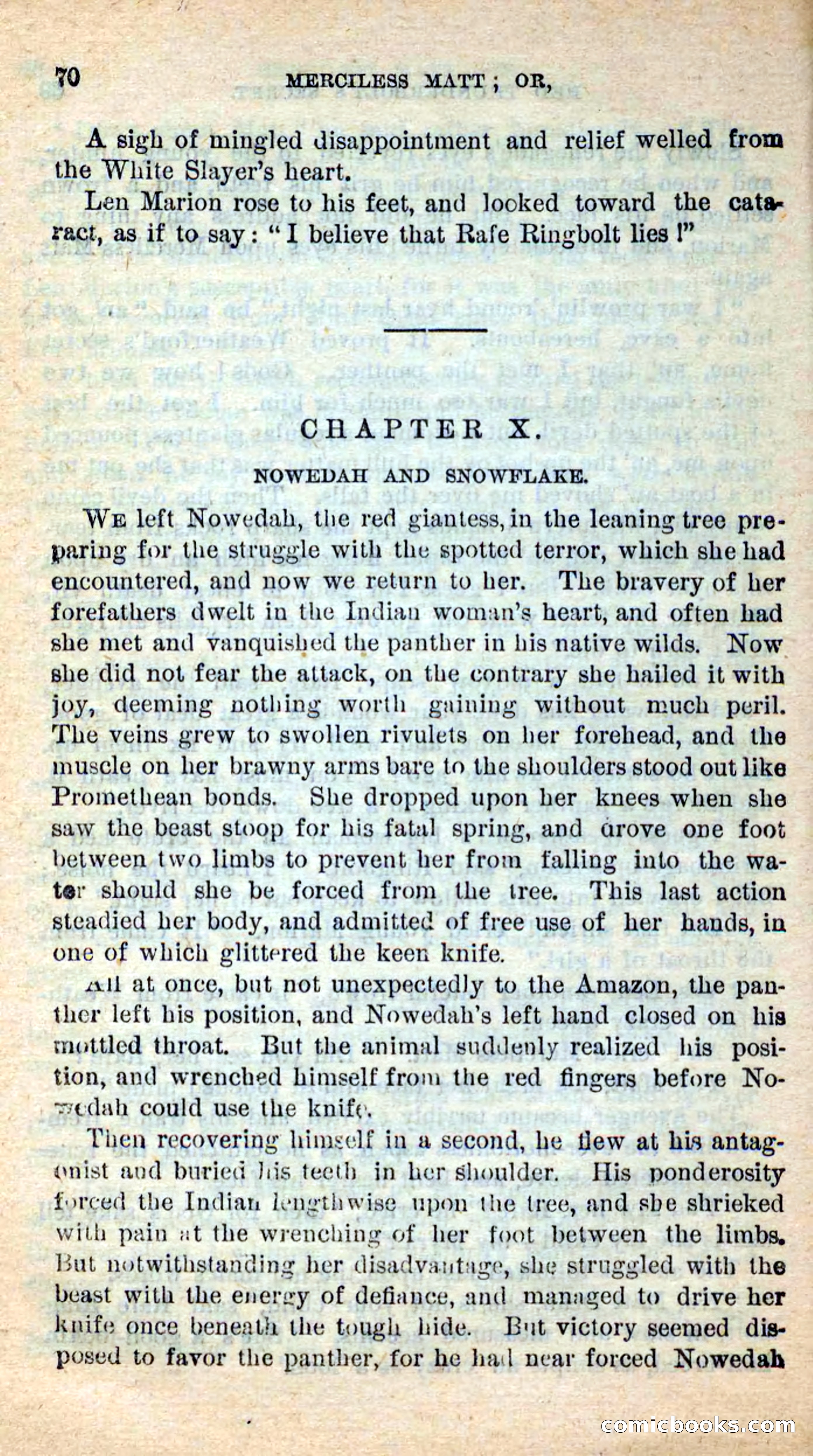 Beadle's New Dime Novels: Merciless Matt — page 66 of 100