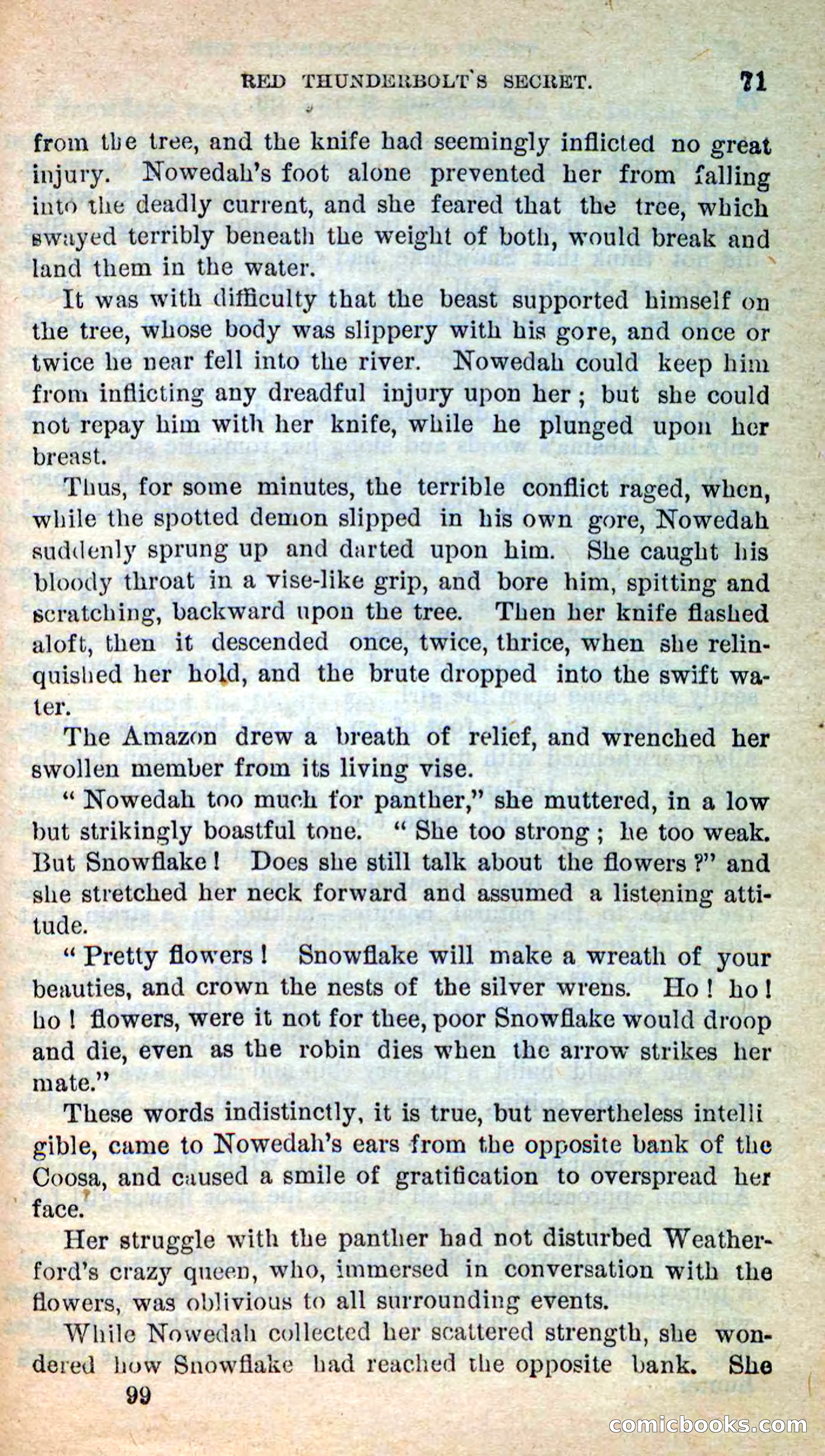 Beadle's New Dime Novels: Merciless Matt — page 67 of 100