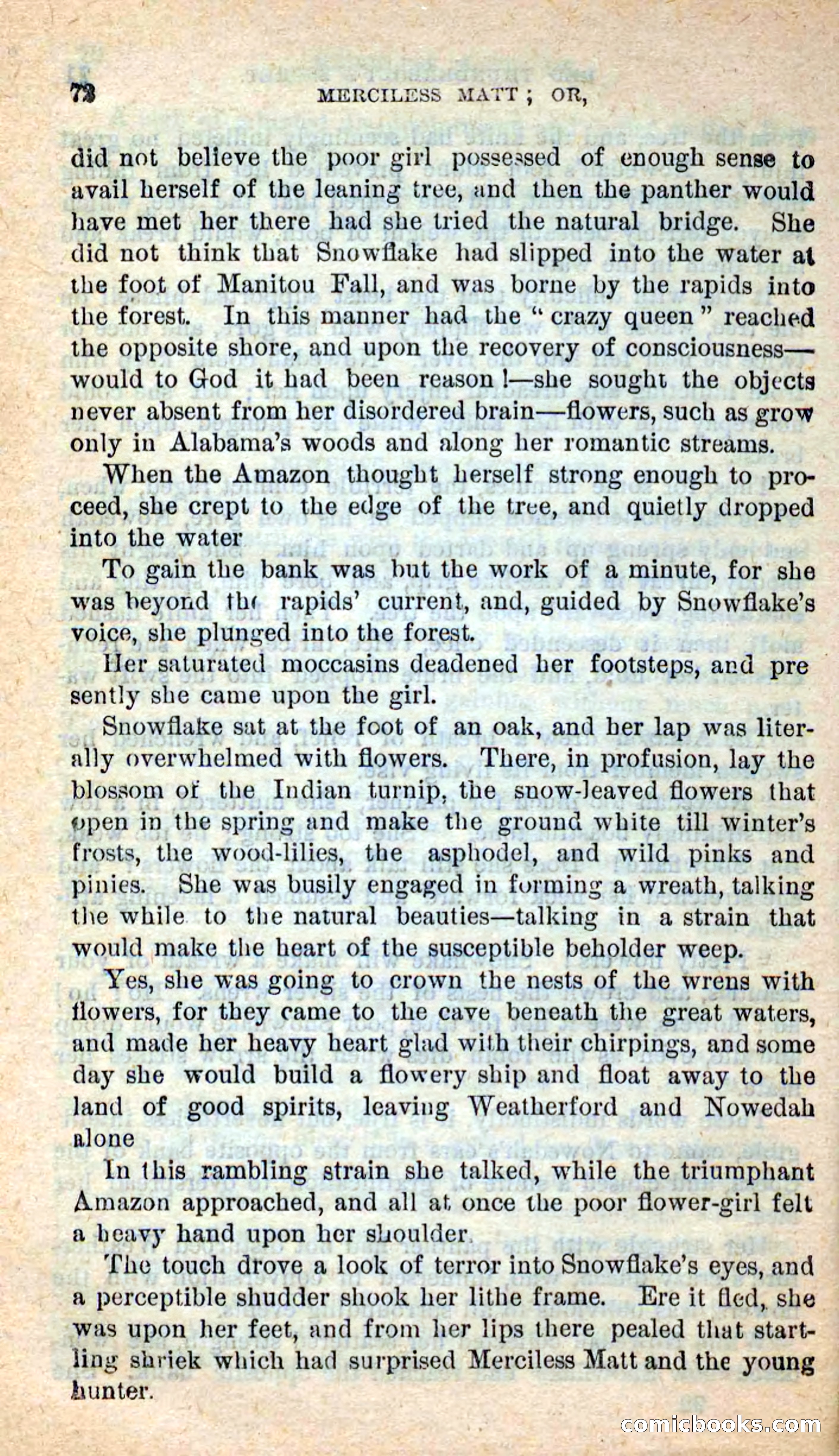Beadle's New Dime Novels: Merciless Matt — page 68 of 100