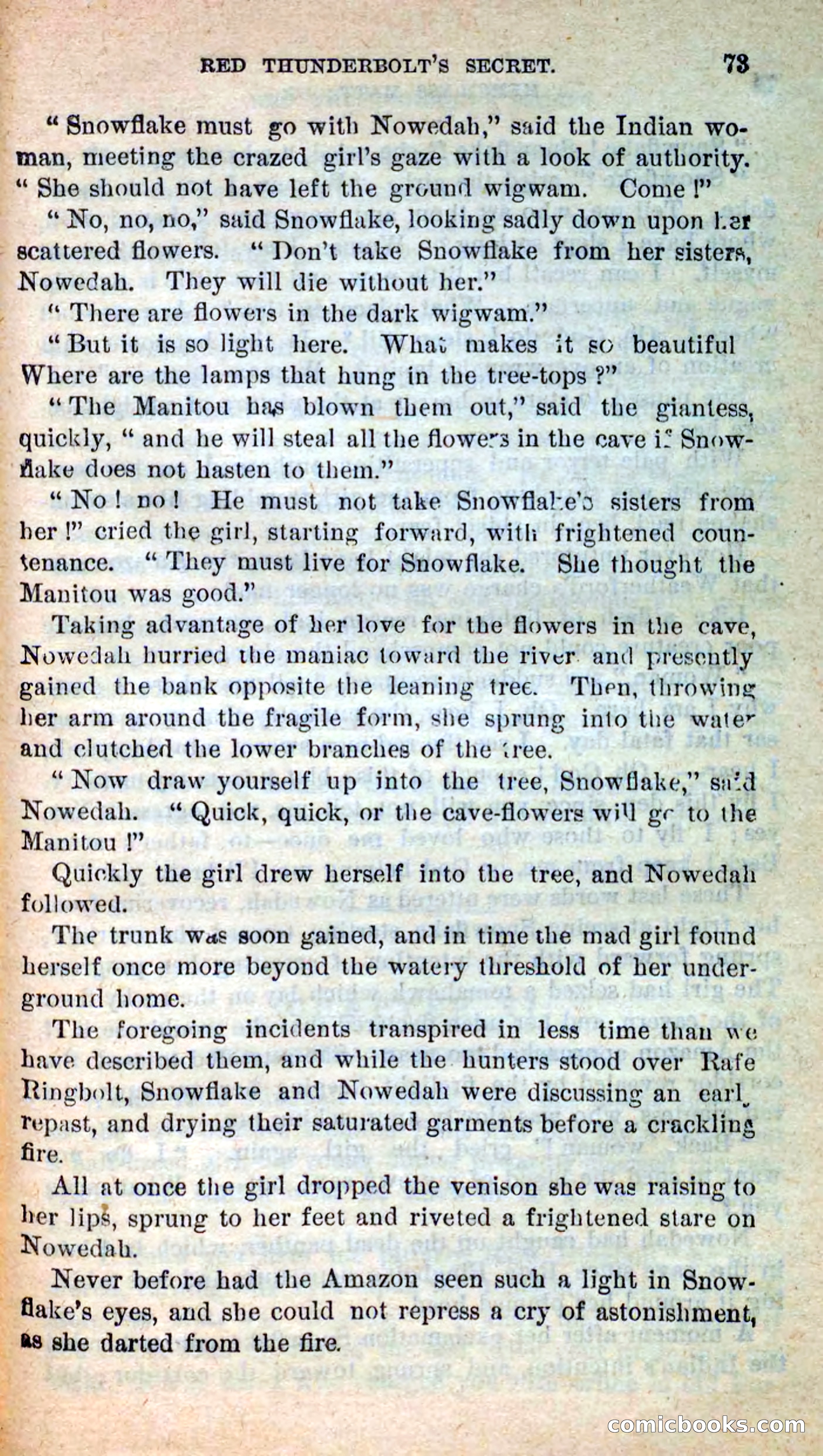 Beadle's New Dime Novels: Merciless Matt — page 69 of 100