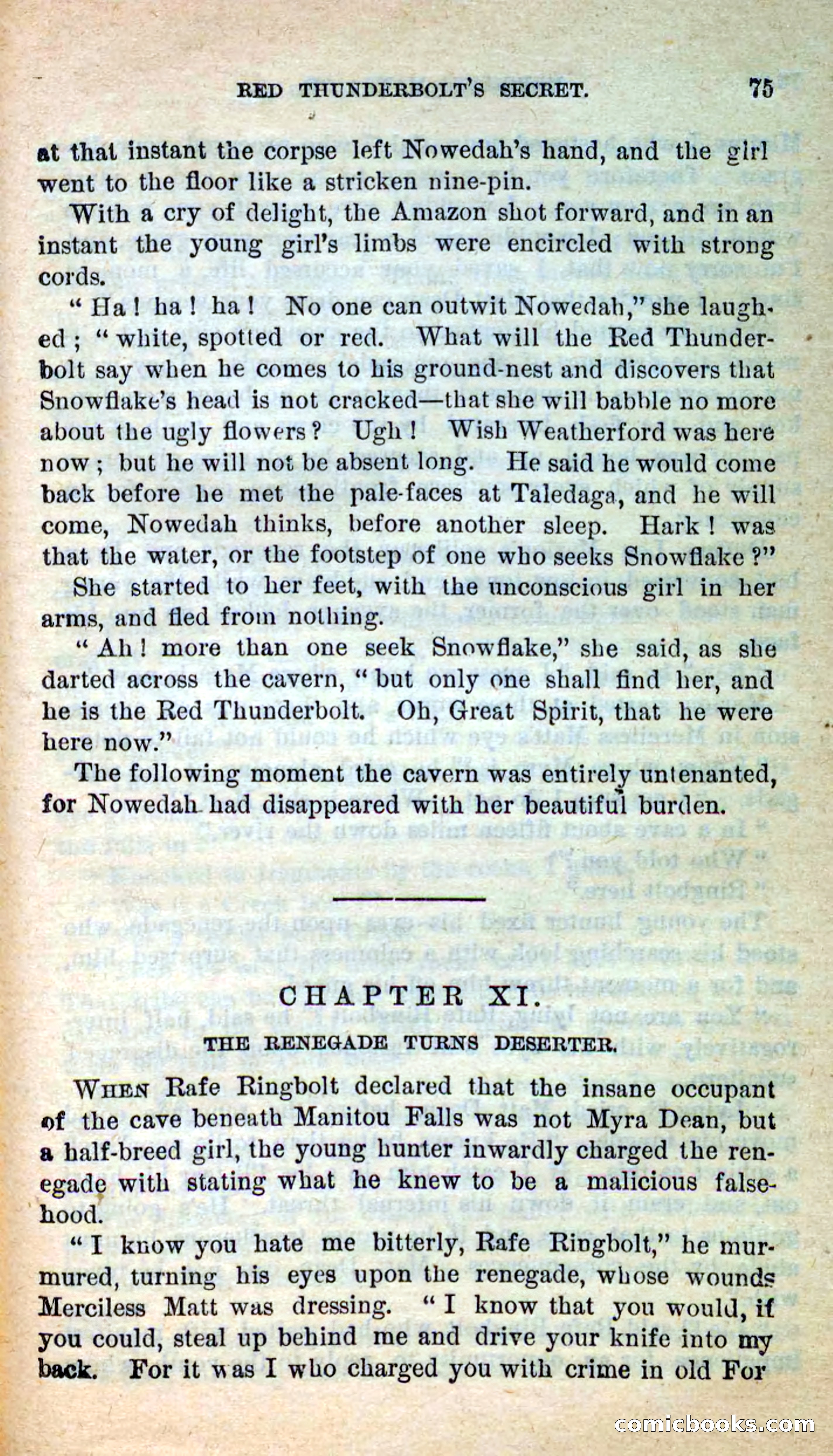 Beadle's New Dime Novels: Merciless Matt — page 71 of 100