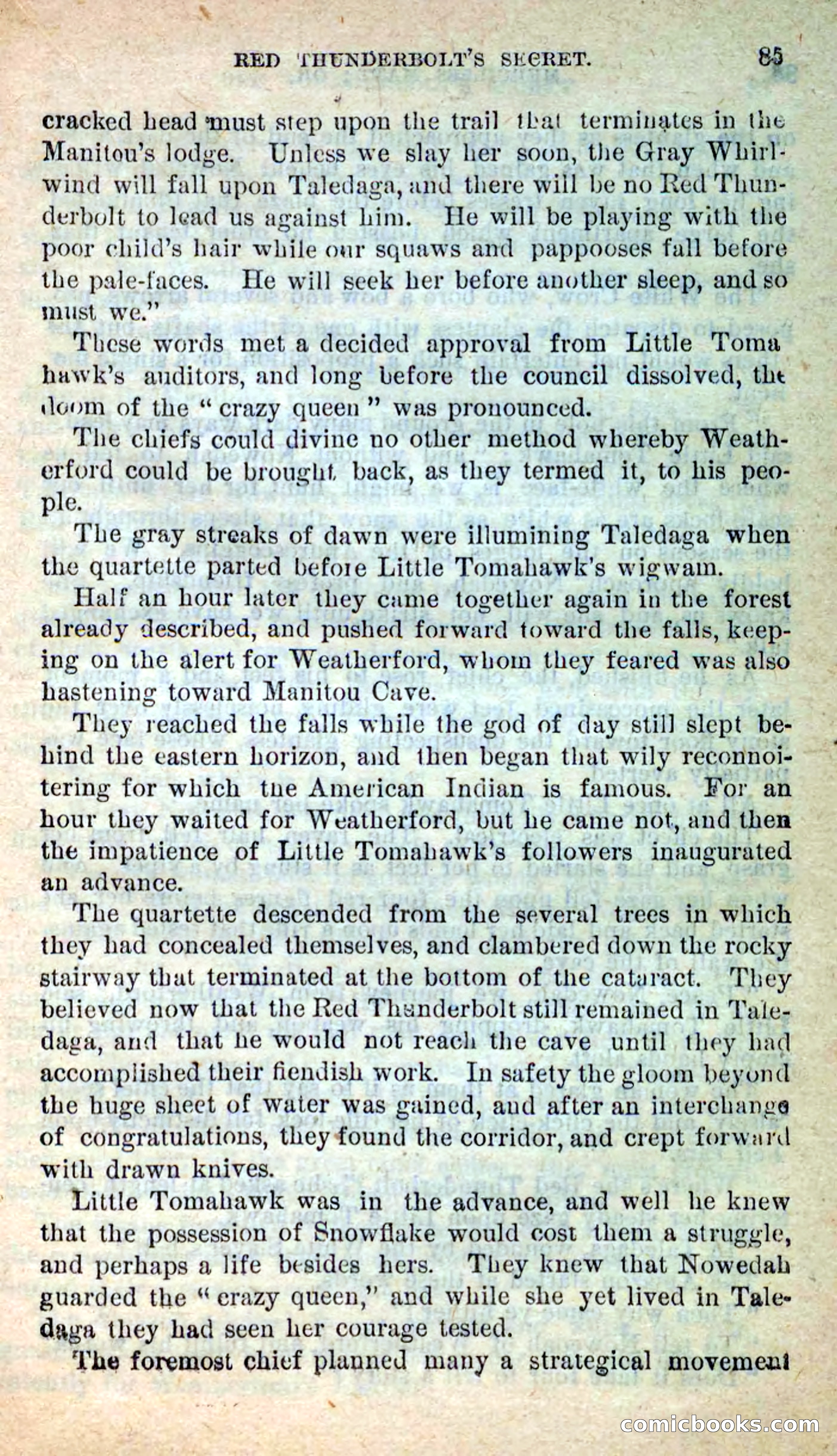 Beadle's New Dime Novels: Merciless Matt — page 81 of 100