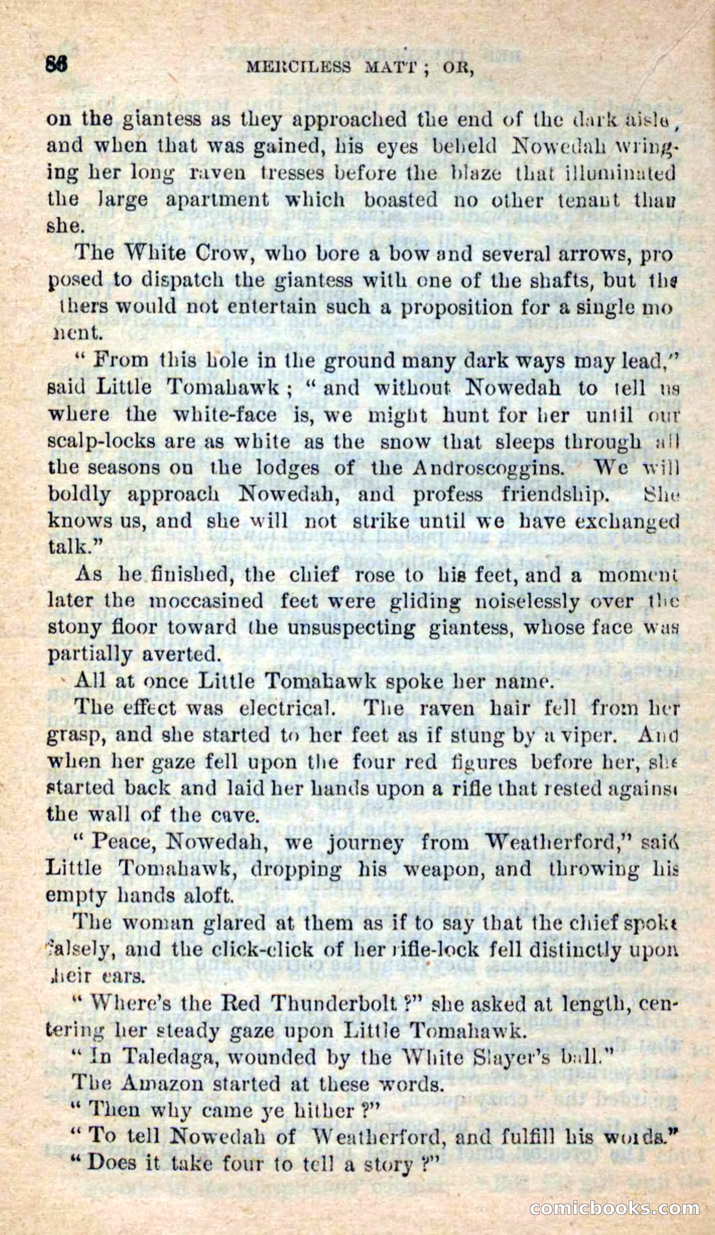 Beadle's New Dime Novels: Merciless Matt — page 82 of 100