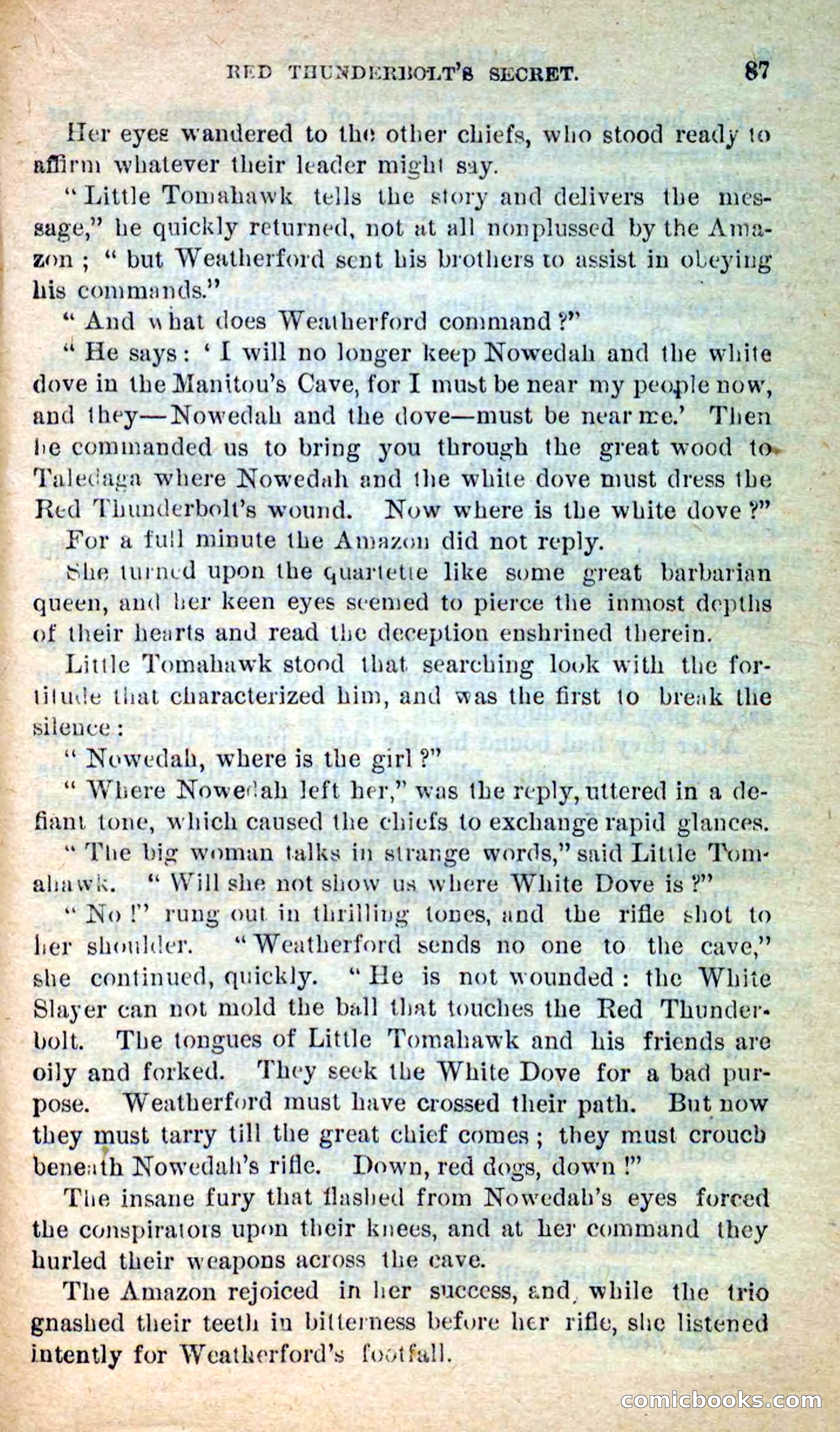 Beadle's New Dime Novels: Merciless Matt — page 83 of 100