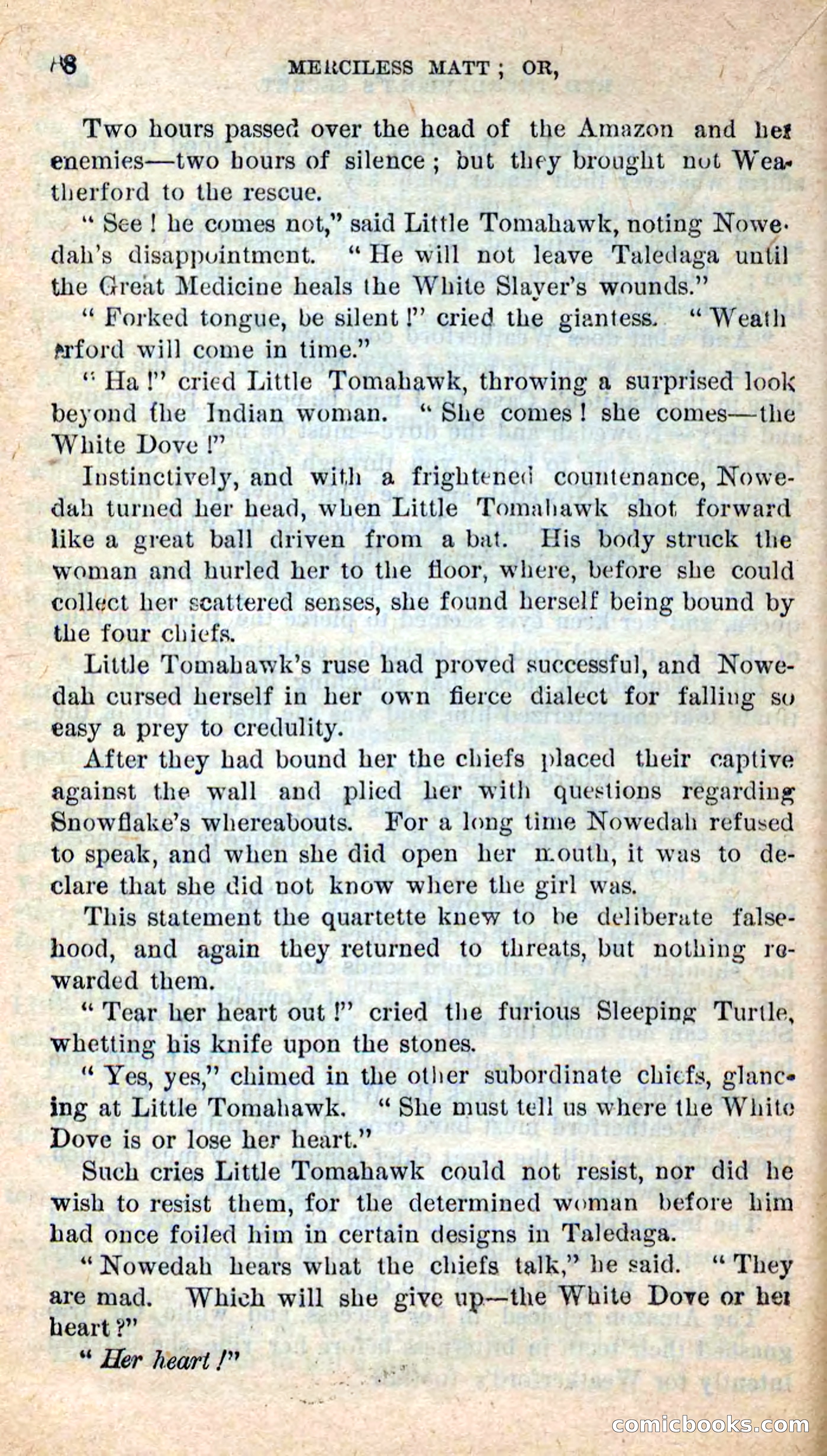 Beadle's New Dime Novels: Merciless Matt — page 84 of 100