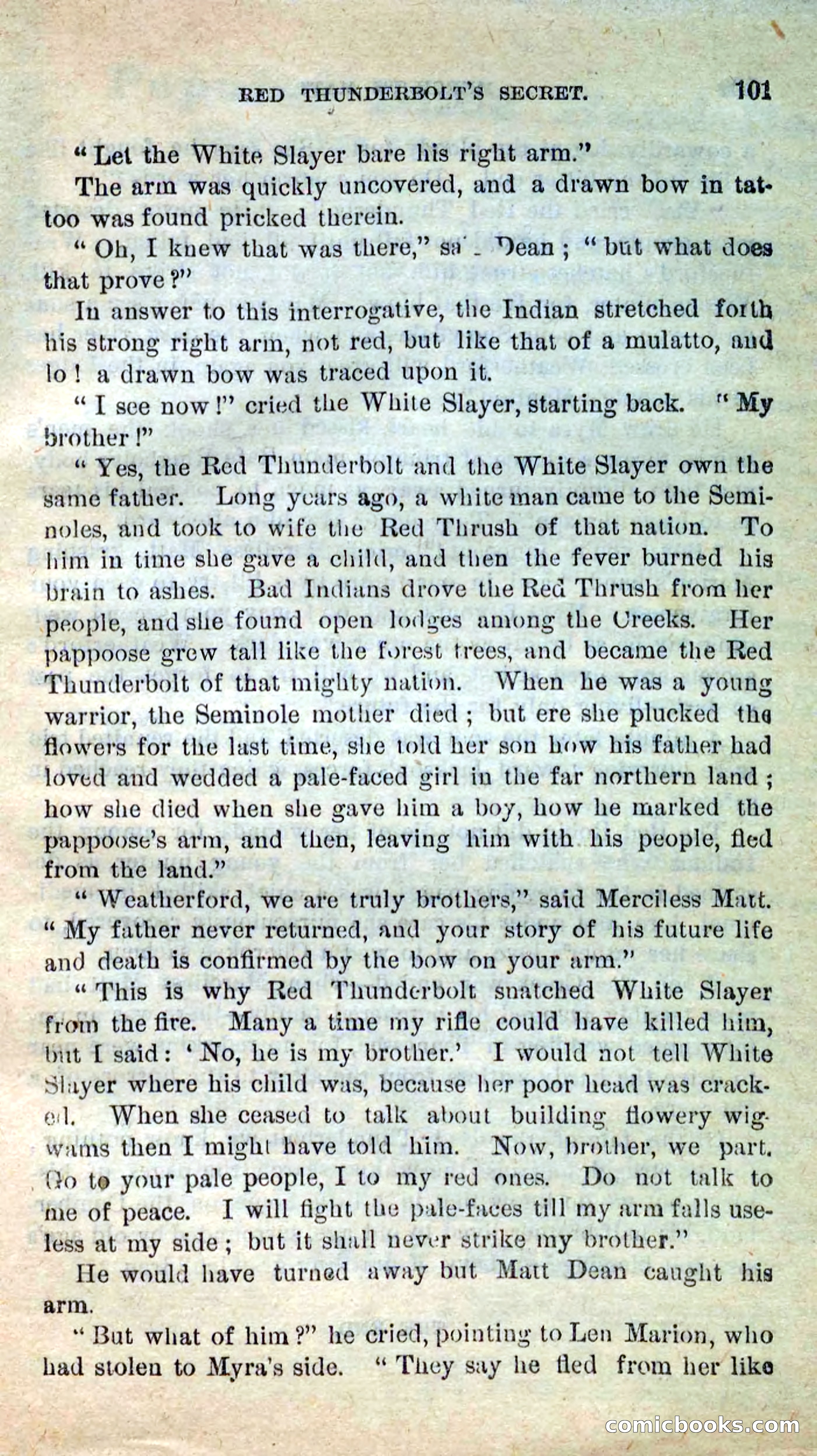 Beadle's New Dime Novels: Merciless Matt — page 97 of 100