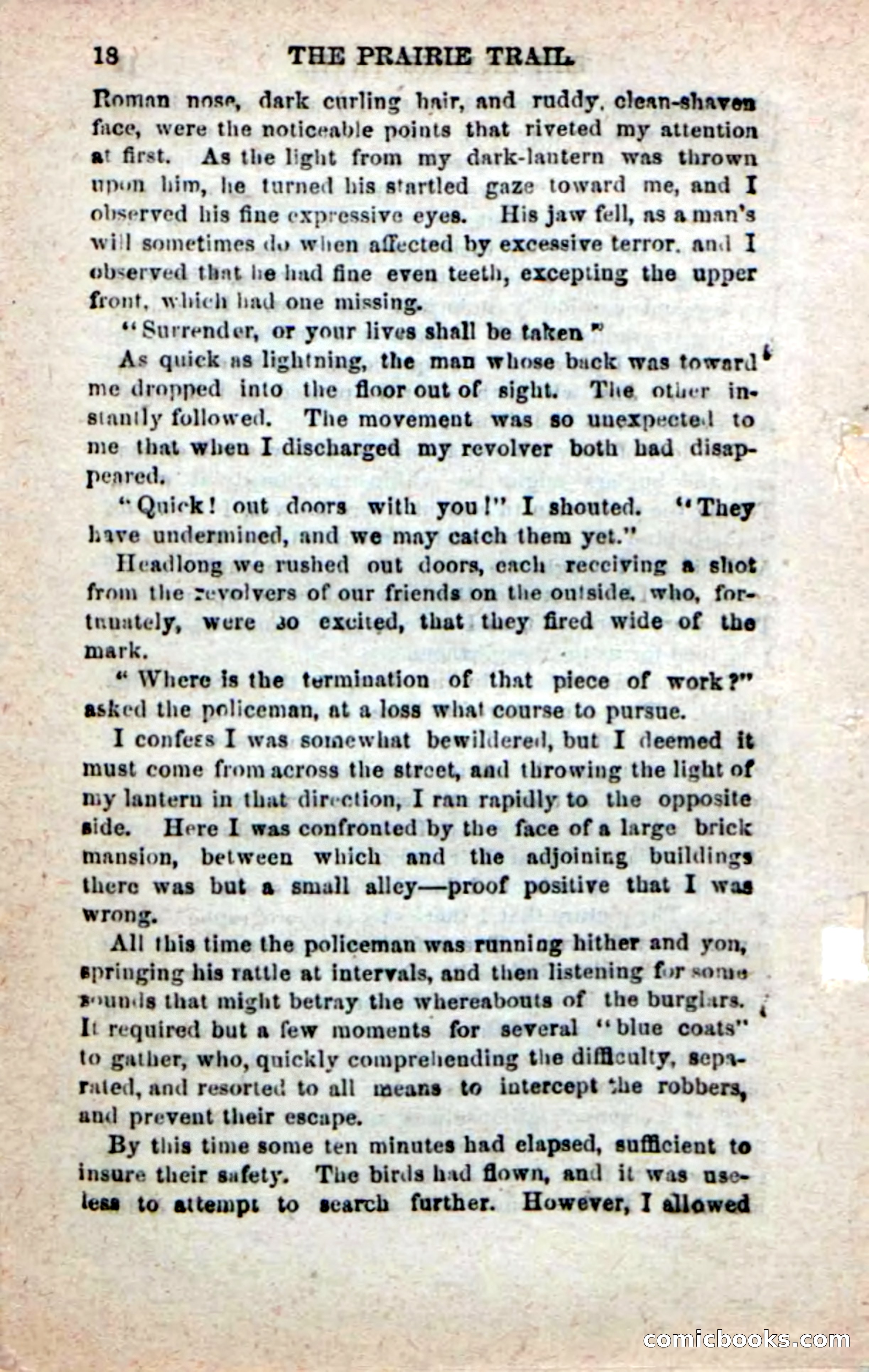 Beadle's New Dime Novels: On the Trail — page 14 of 100