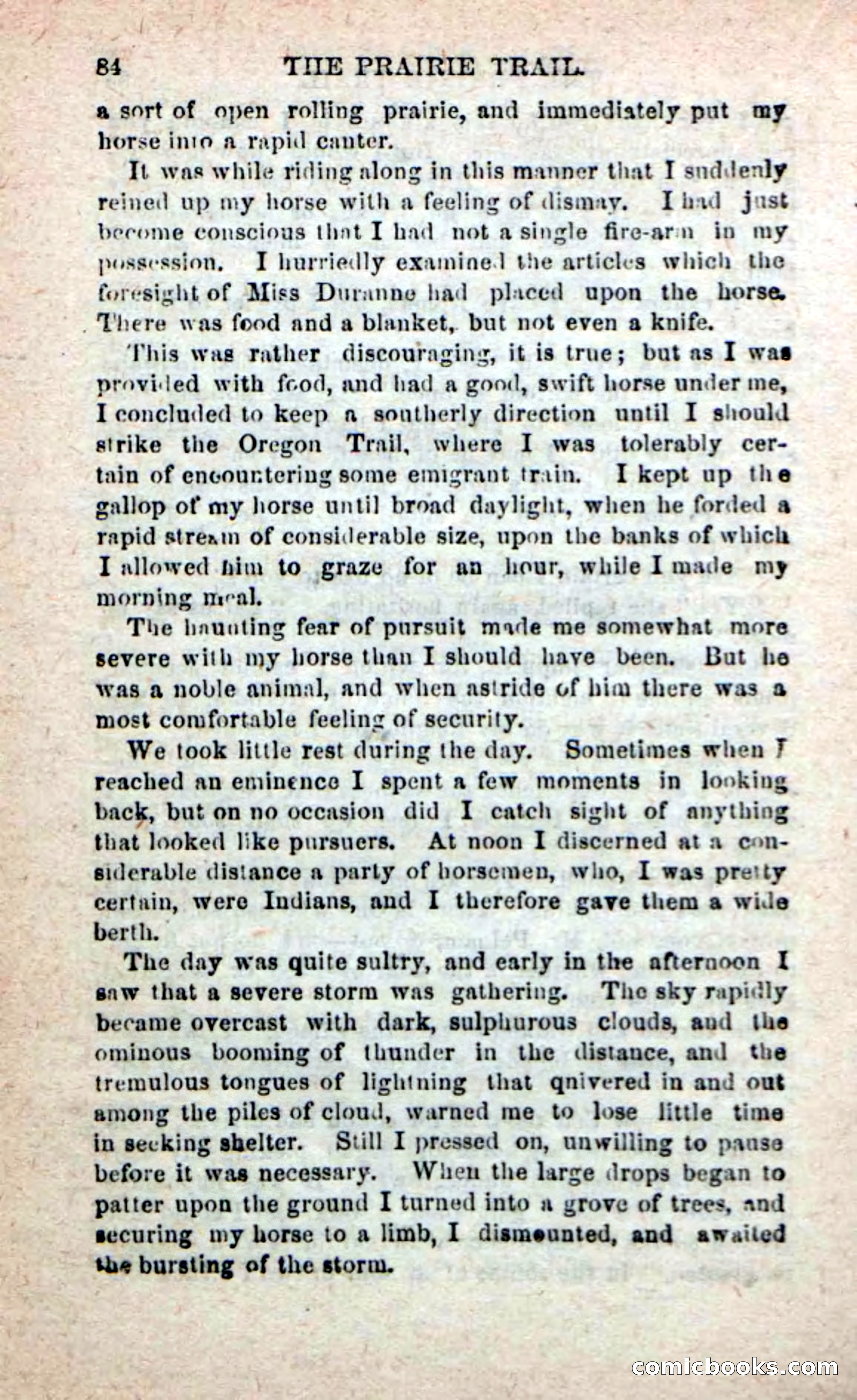 Beadle's New Dime Novels: On the Trail — page 80 of 100