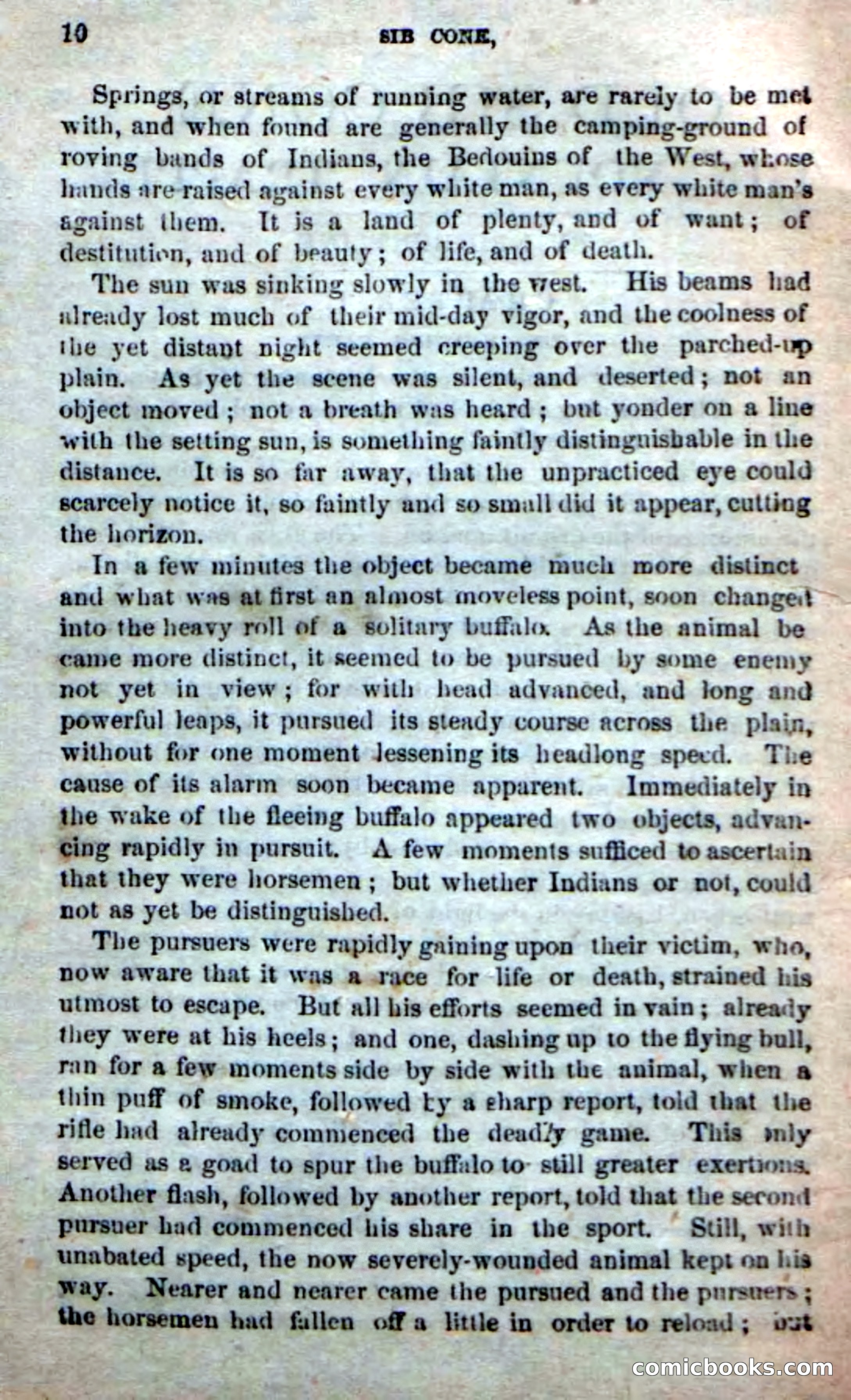 Old Sib Cone — page 4 of 100